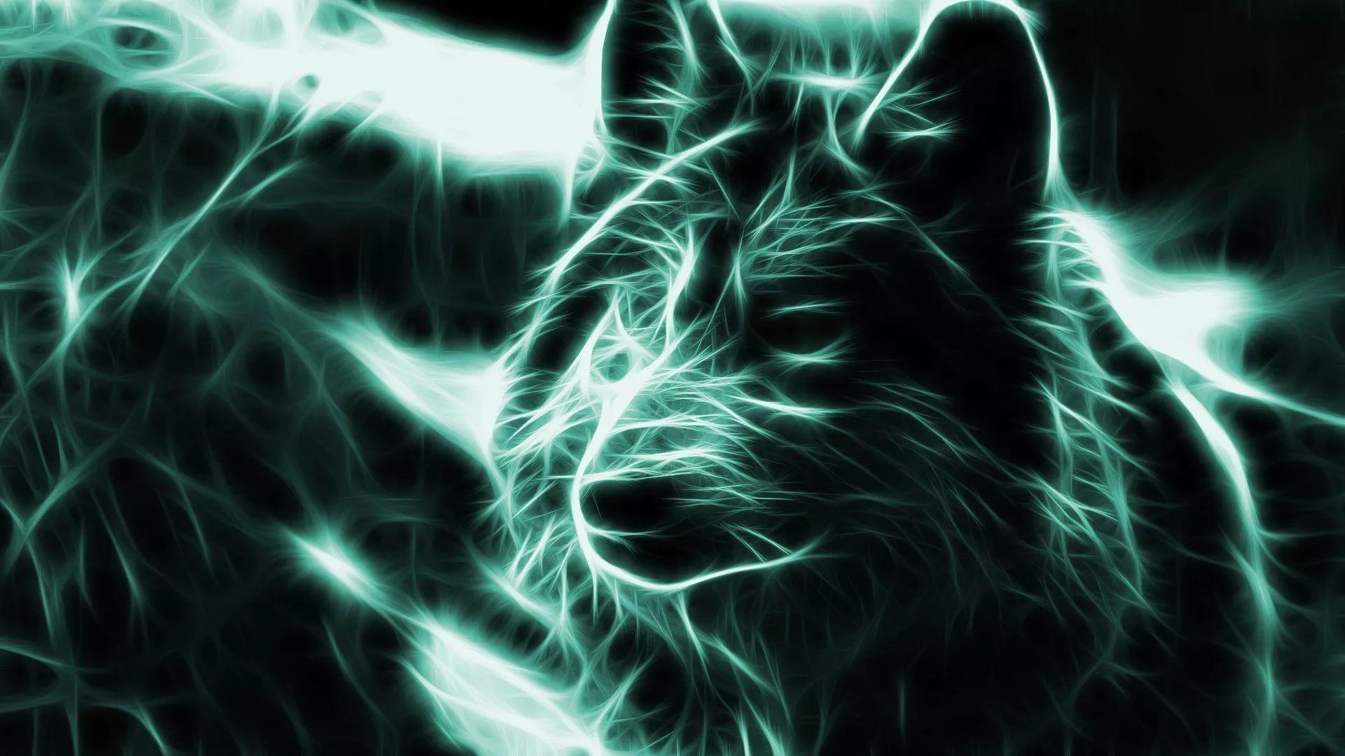 Light Wolf Wallpapers - Top Free Light Wolf Backgrounds - WallpaperAccess