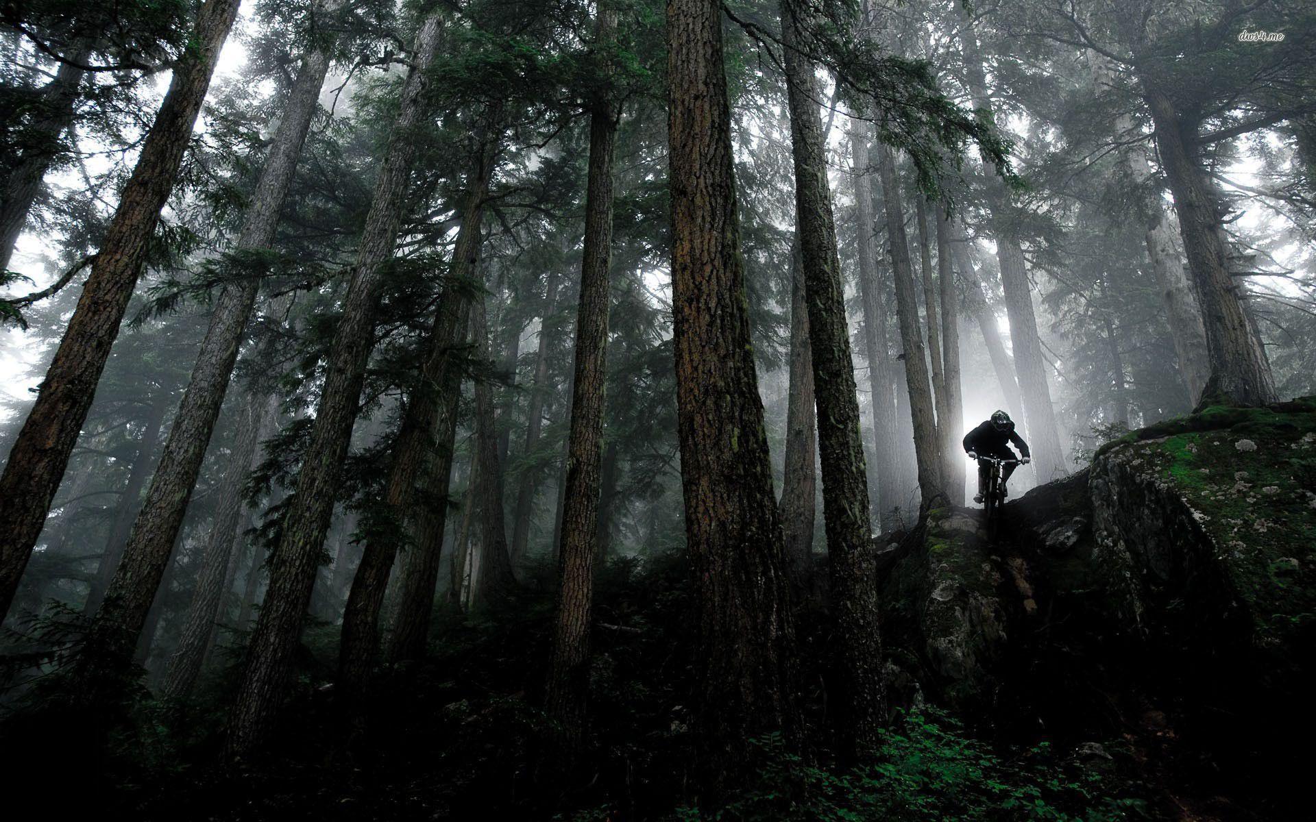 dark mountain mountain bike trails