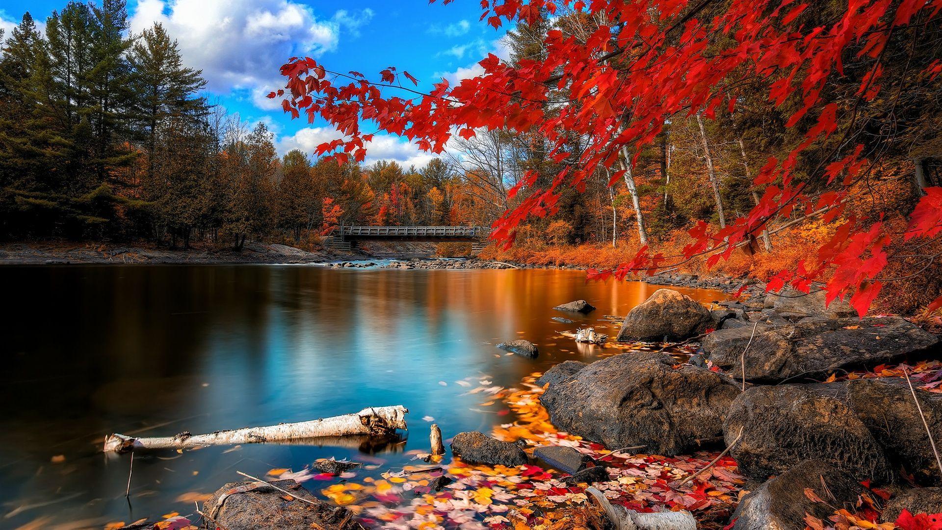 Autumn River Wallpapers - Top Free Autumn River Backgrounds -  WallpaperAccess