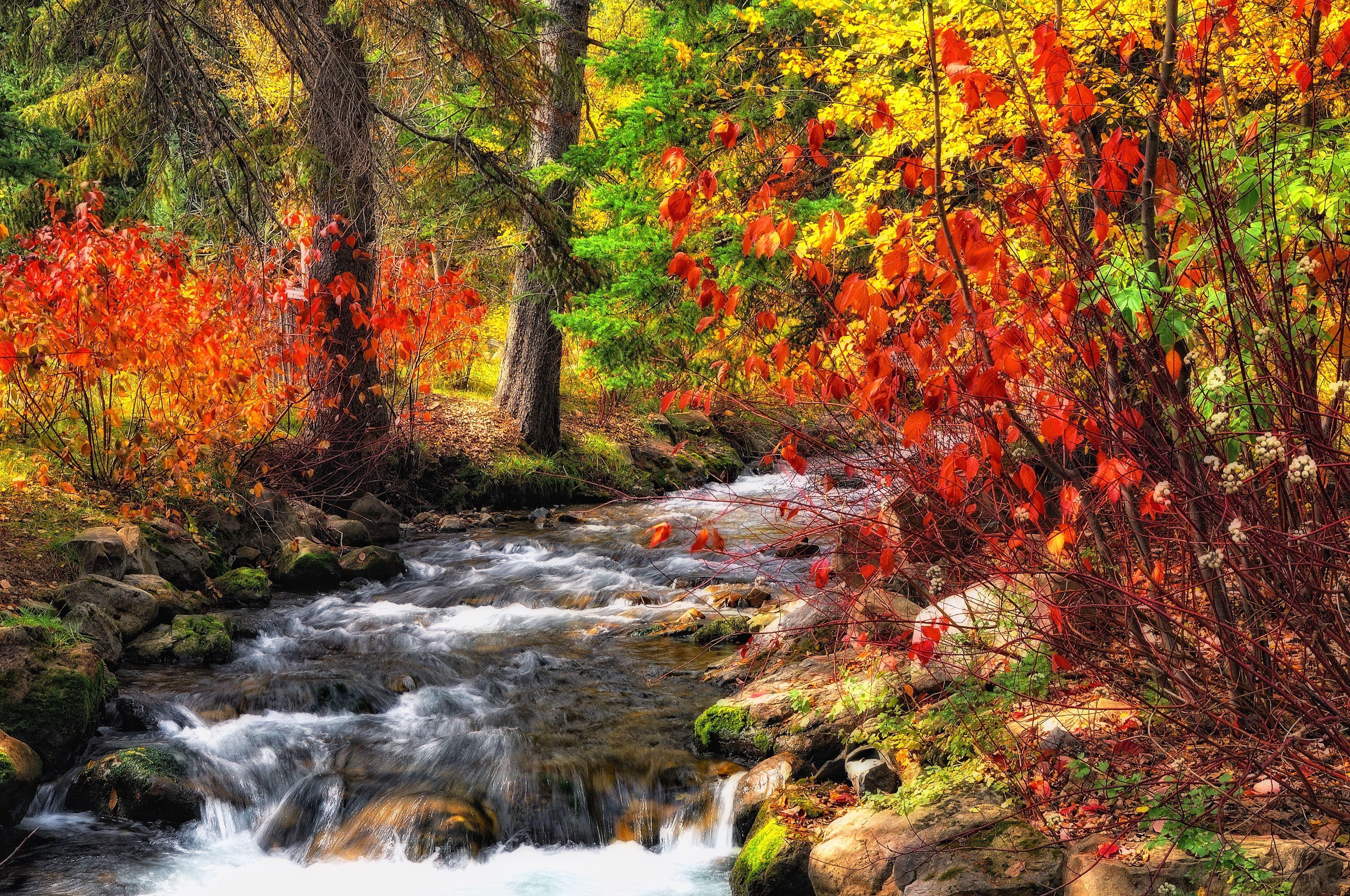 Autumn River Wallpapers - Top Free Autumn River Backgrounds ...