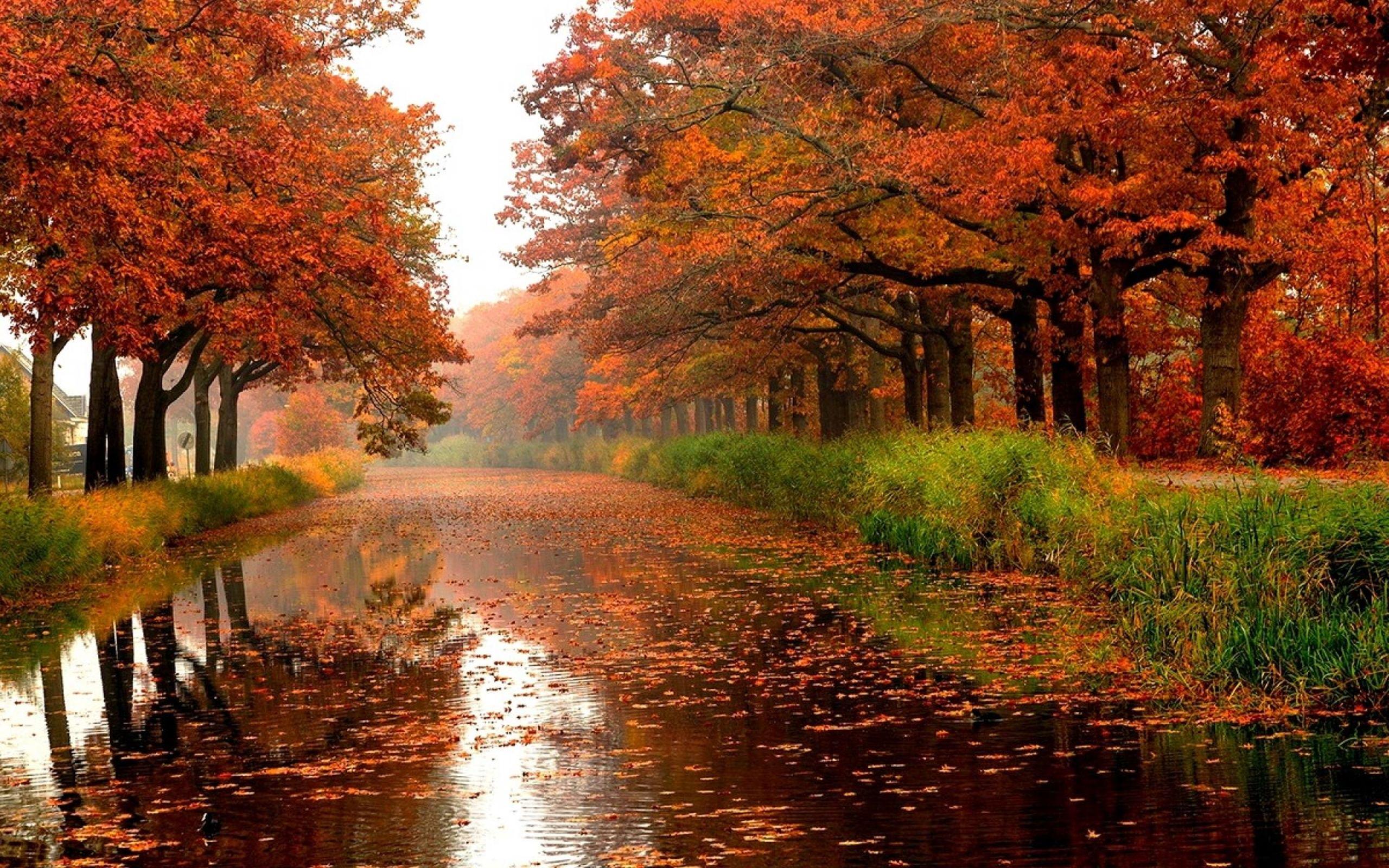 Autumn River Wallpapers Top Free Autumn River Backgrounds