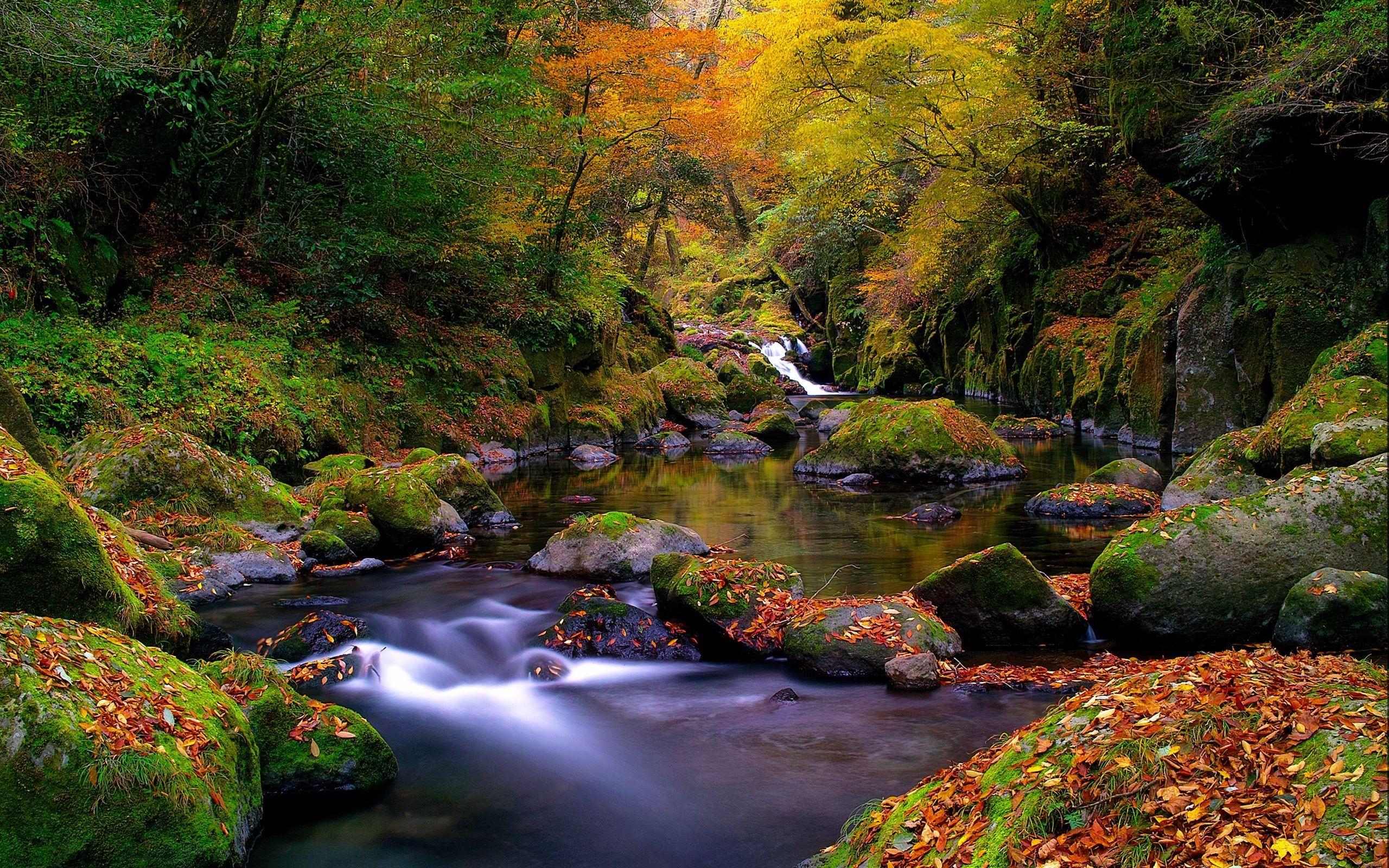 Autumn River Wallpapers - Top Free Autumn River Backgrounds ...