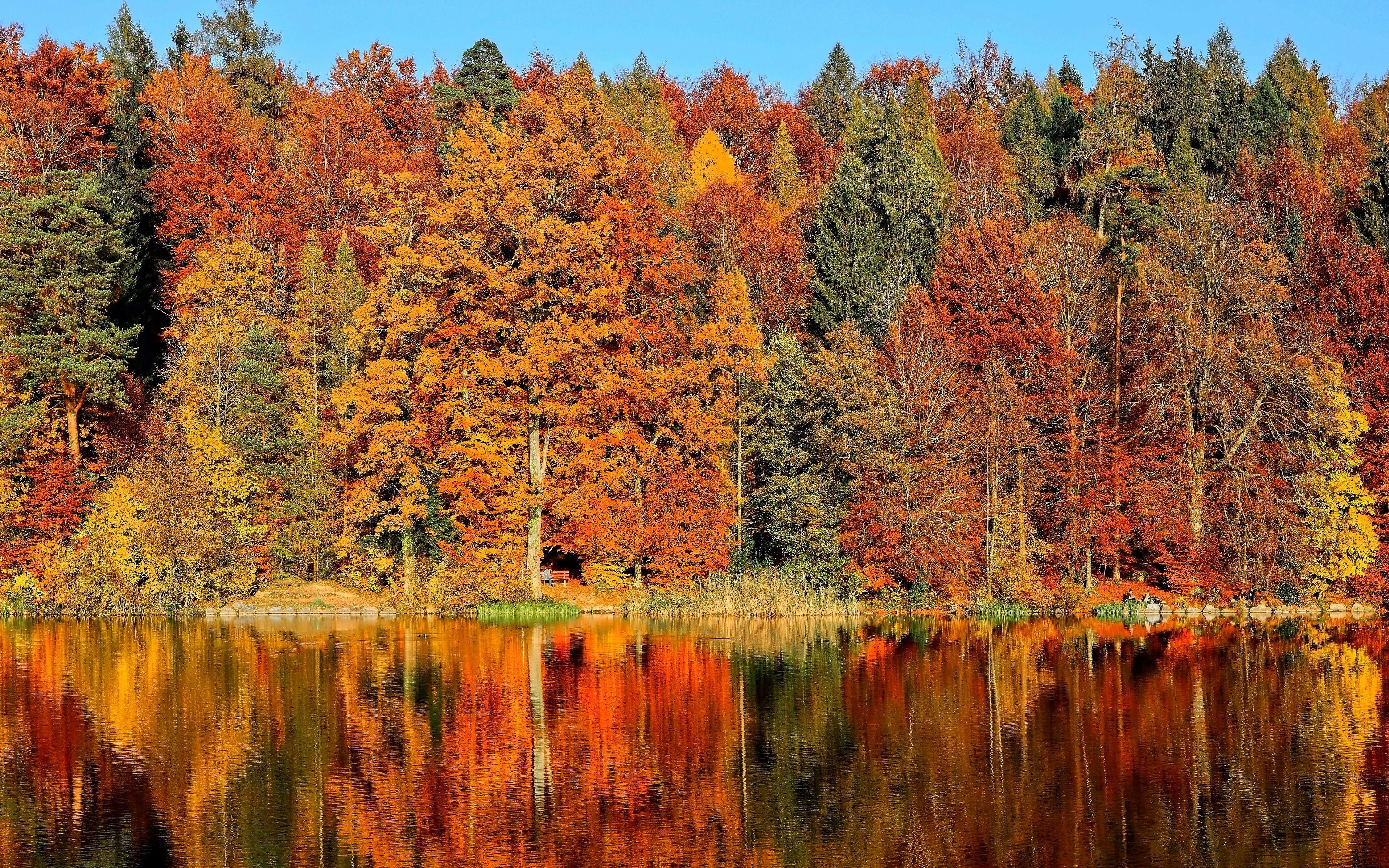 3840x2400 Download wallpaper 3840x2400 trees, autumn, river, reflection 4k