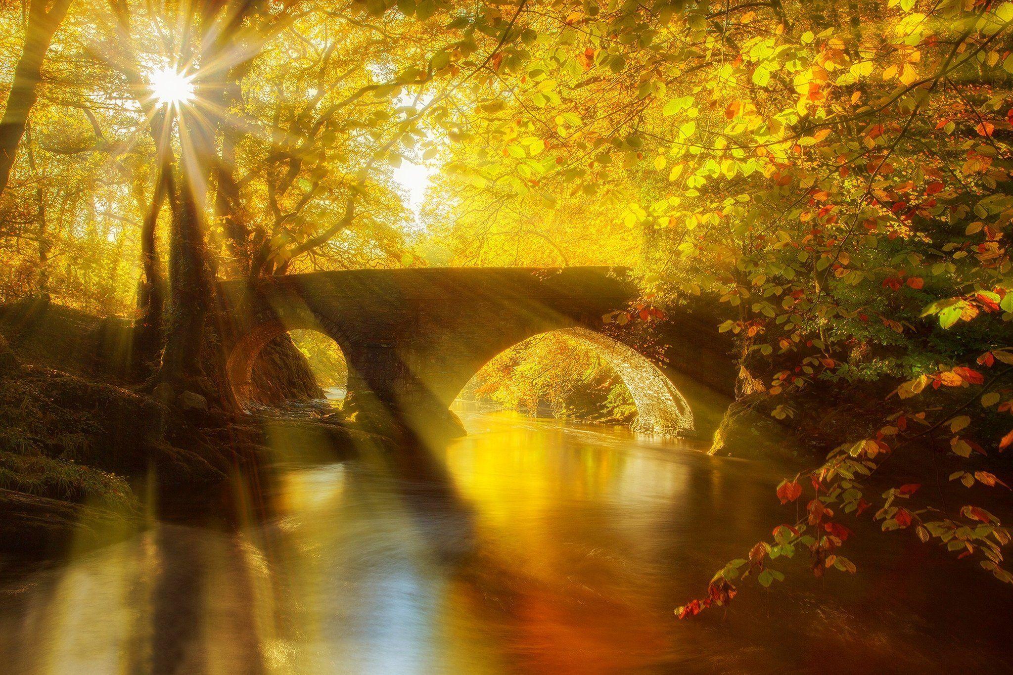 2048x1365 Park Alley Trees Autumn River Bridge Water Reflection