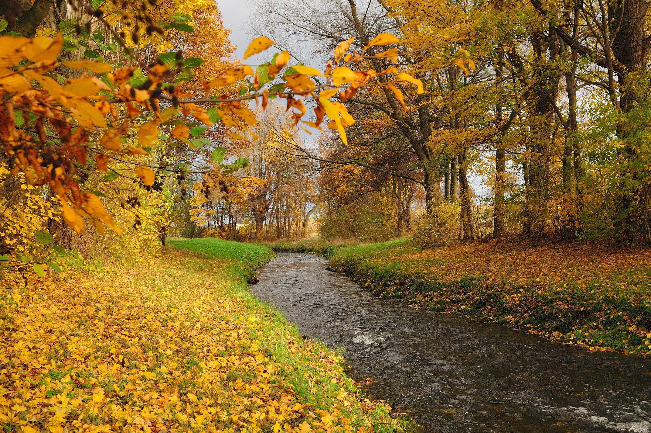 2144x1424 autumn, River, Forest, Trees, Landscape Wallpaper HD / Desktop