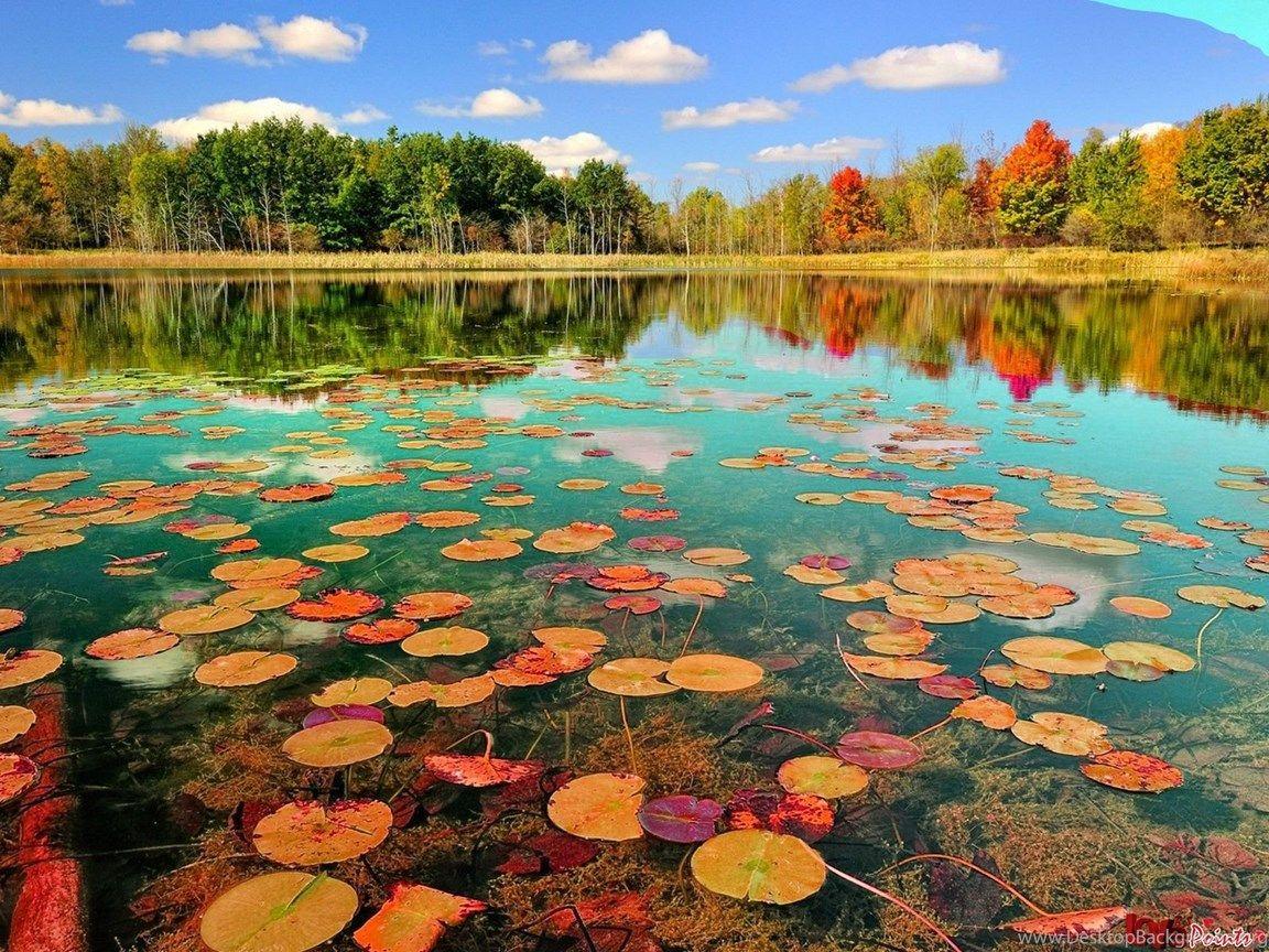 1152x864 Autumn River Wallpaper HD Resolution Desktop Background