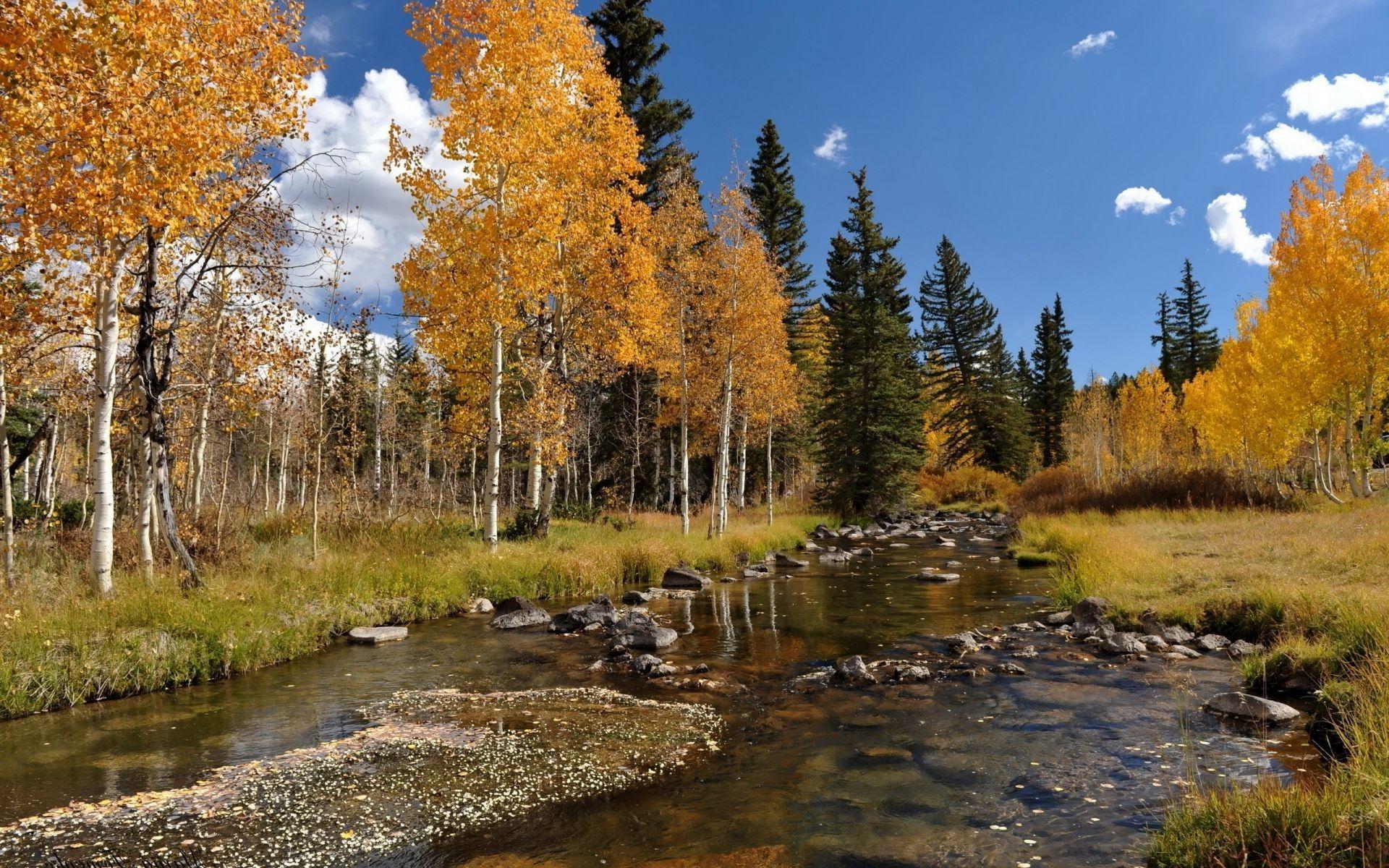 Autumn River Wallpapers - Top Free Autumn River Backgrounds ...