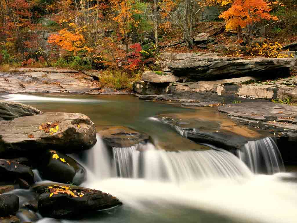 1024x768 Free download 10 Autumn River Desktop Background Wallpaper