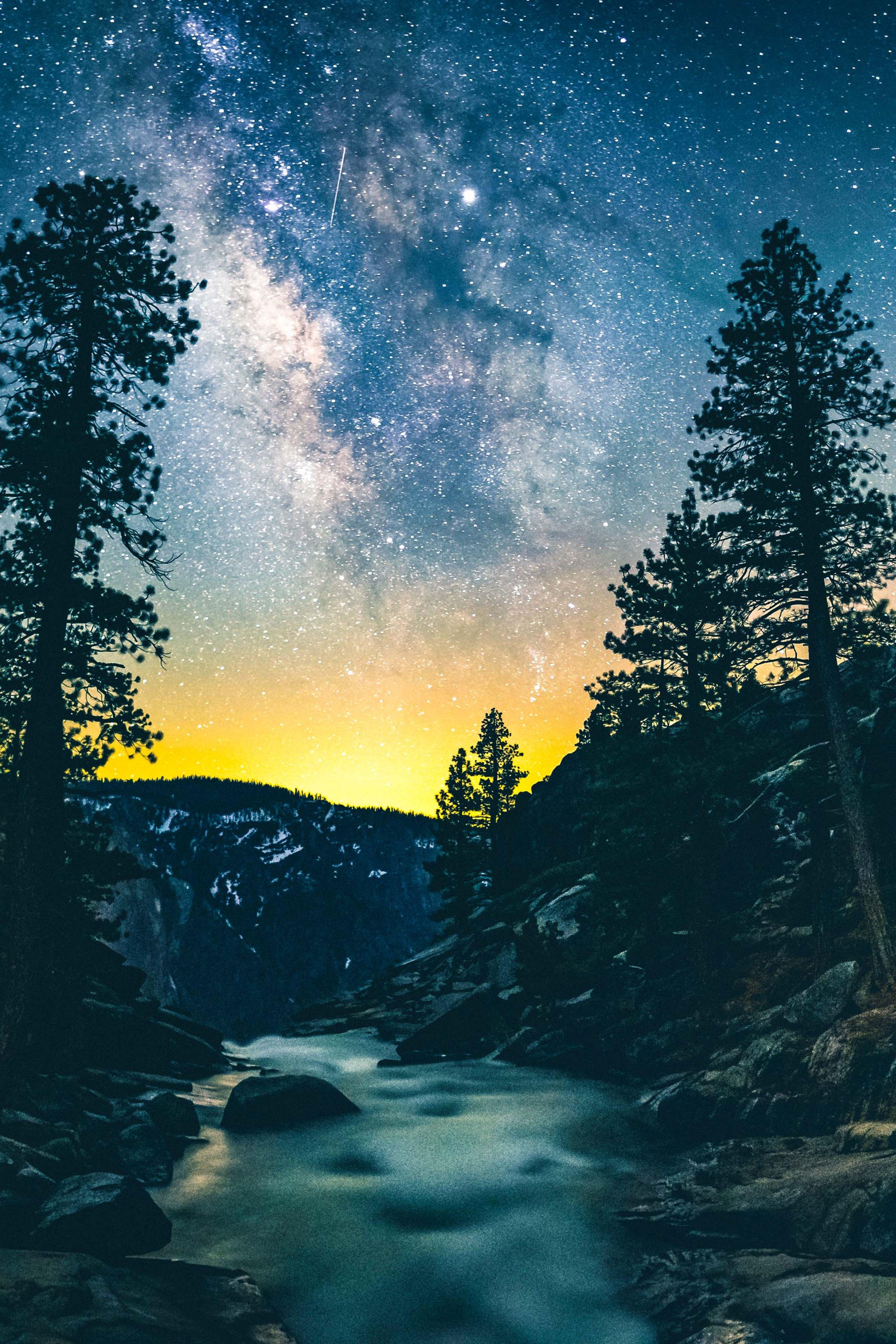 4500x6749 trees #night #galaxy #milkyway #stars #space #blue #silhouette