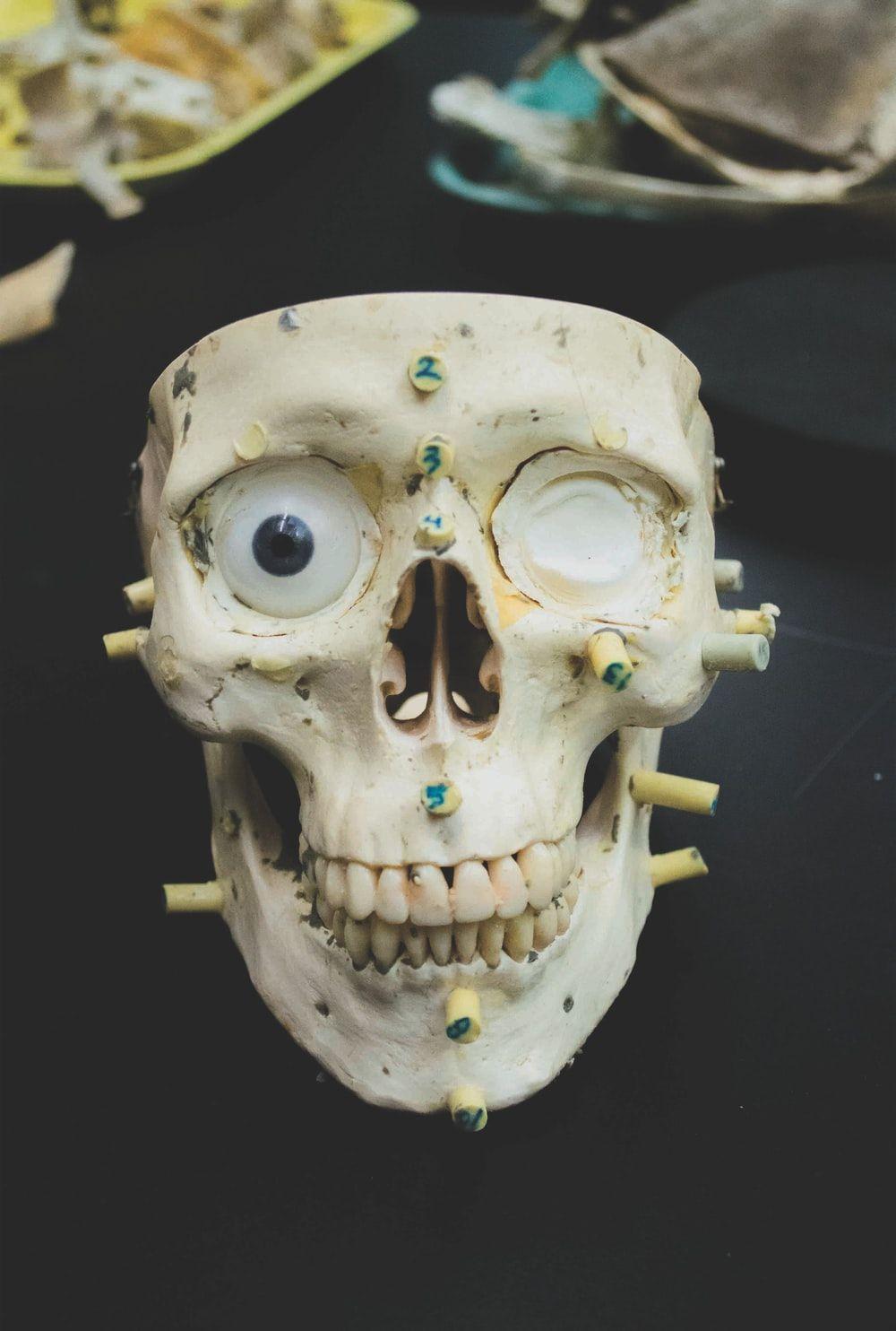 1000x1484 Forensic Picture. Download Free Image