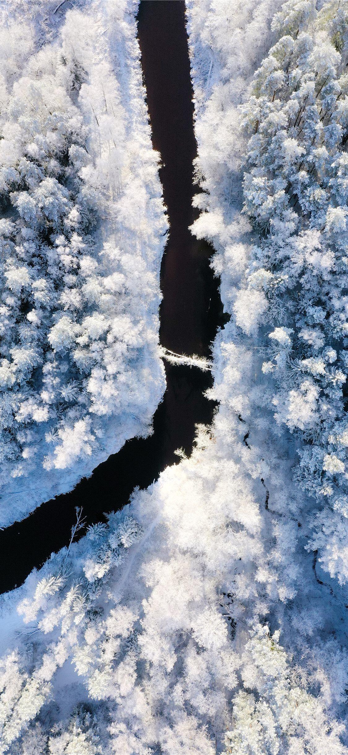 1125x2436 river near snow forest iPhone 11 Wallpaper Free Download
