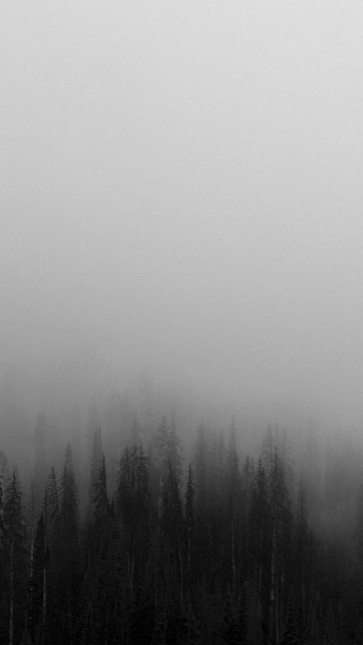 1242x2208 Fog Minimal Mountain Wood Nature Hình nền