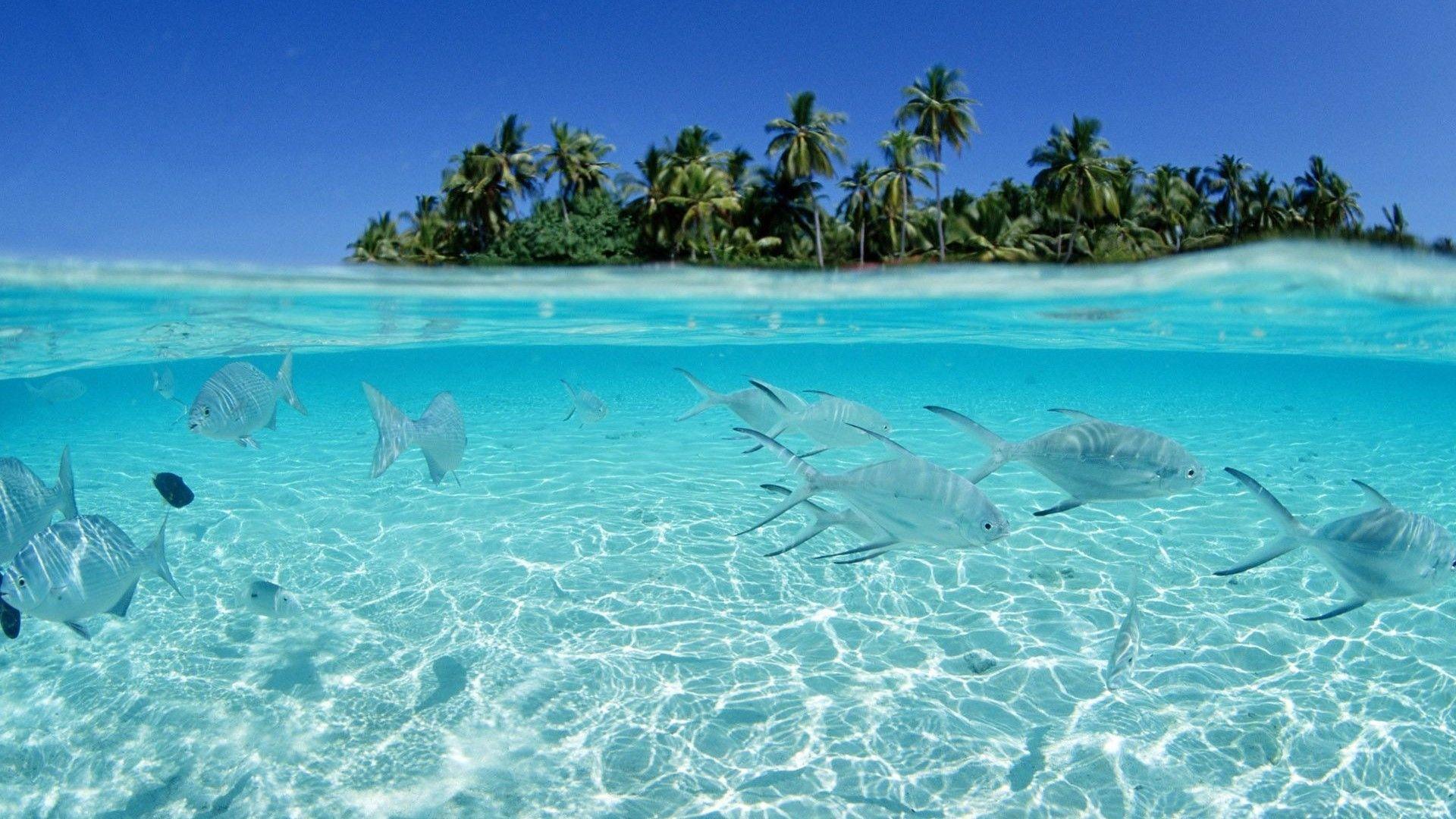 1920x1080 Maldives Beach Wallpaper