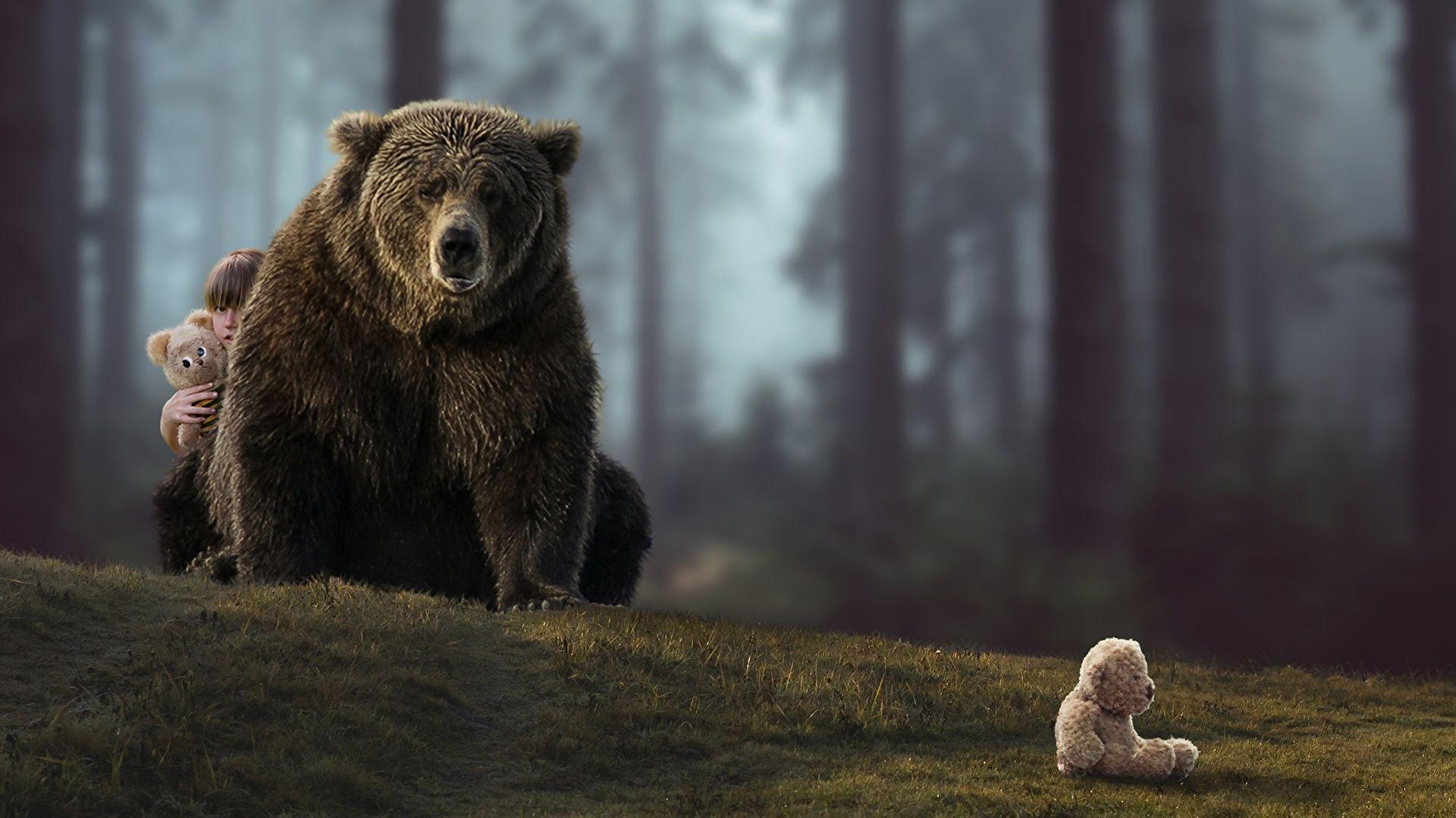 1920x1080 image Grizzly bear animal 1920x1080