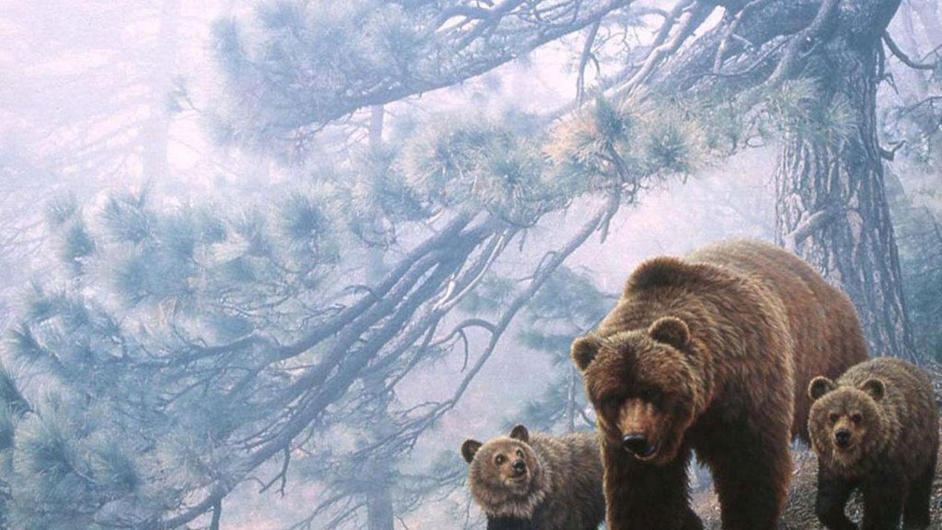 1920x1080 Grizzly Bears