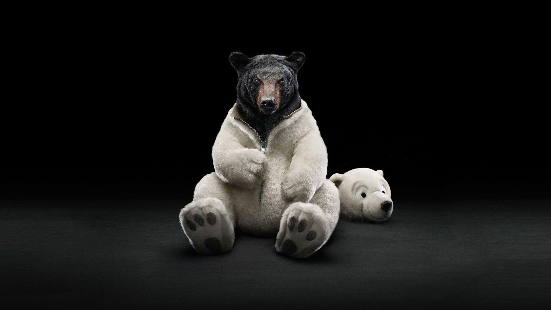 1920x1080 Dressed Bear desktop PC and Mac wallpaper