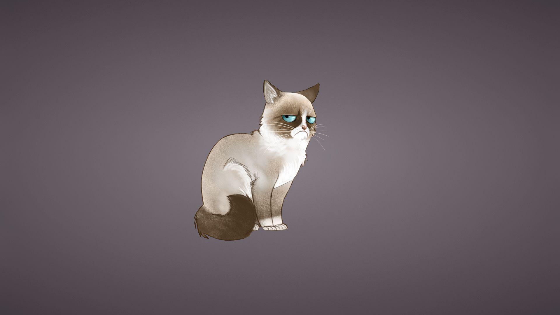 1920x1080 grumpy cat, meme, cat 1080P Laptop Full HD Wallpaper, HD