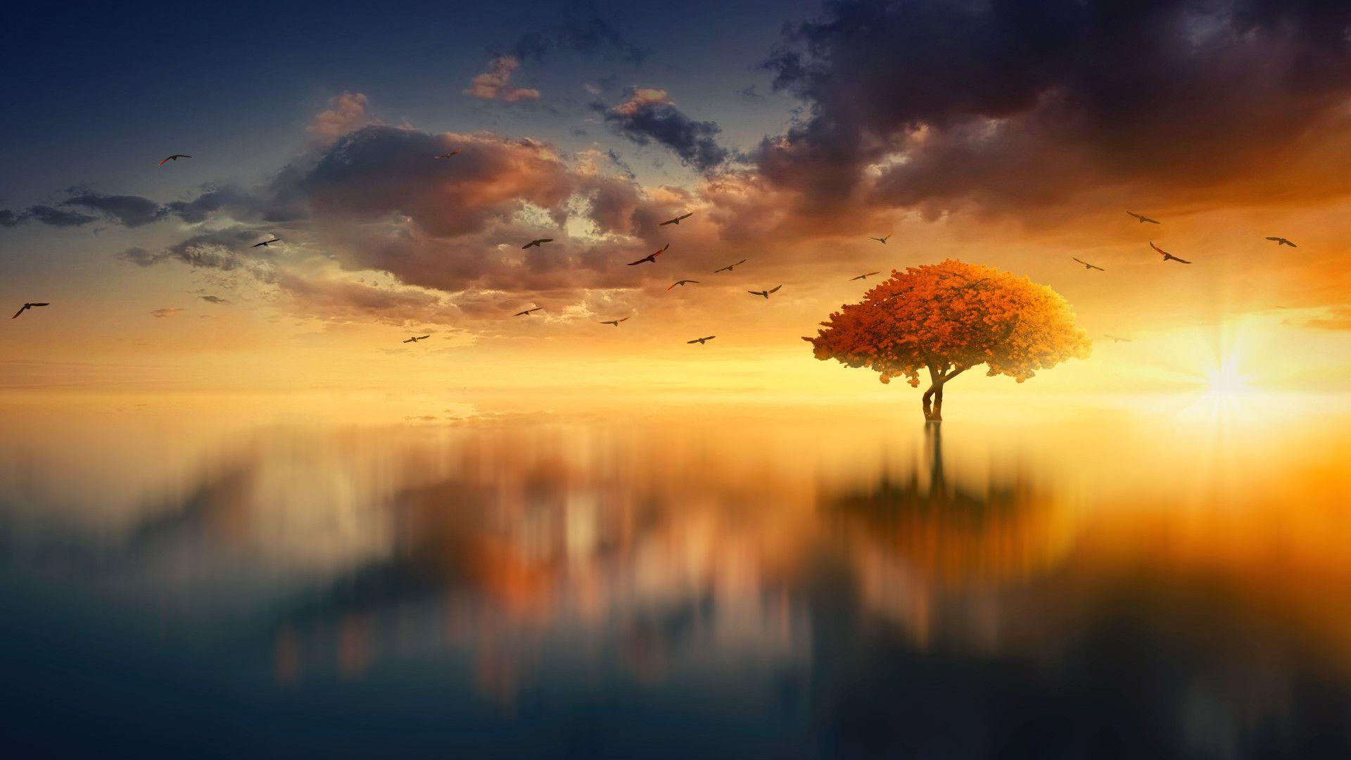 1920x1080 Download wallpaper: Dreaming summer 1920x1080