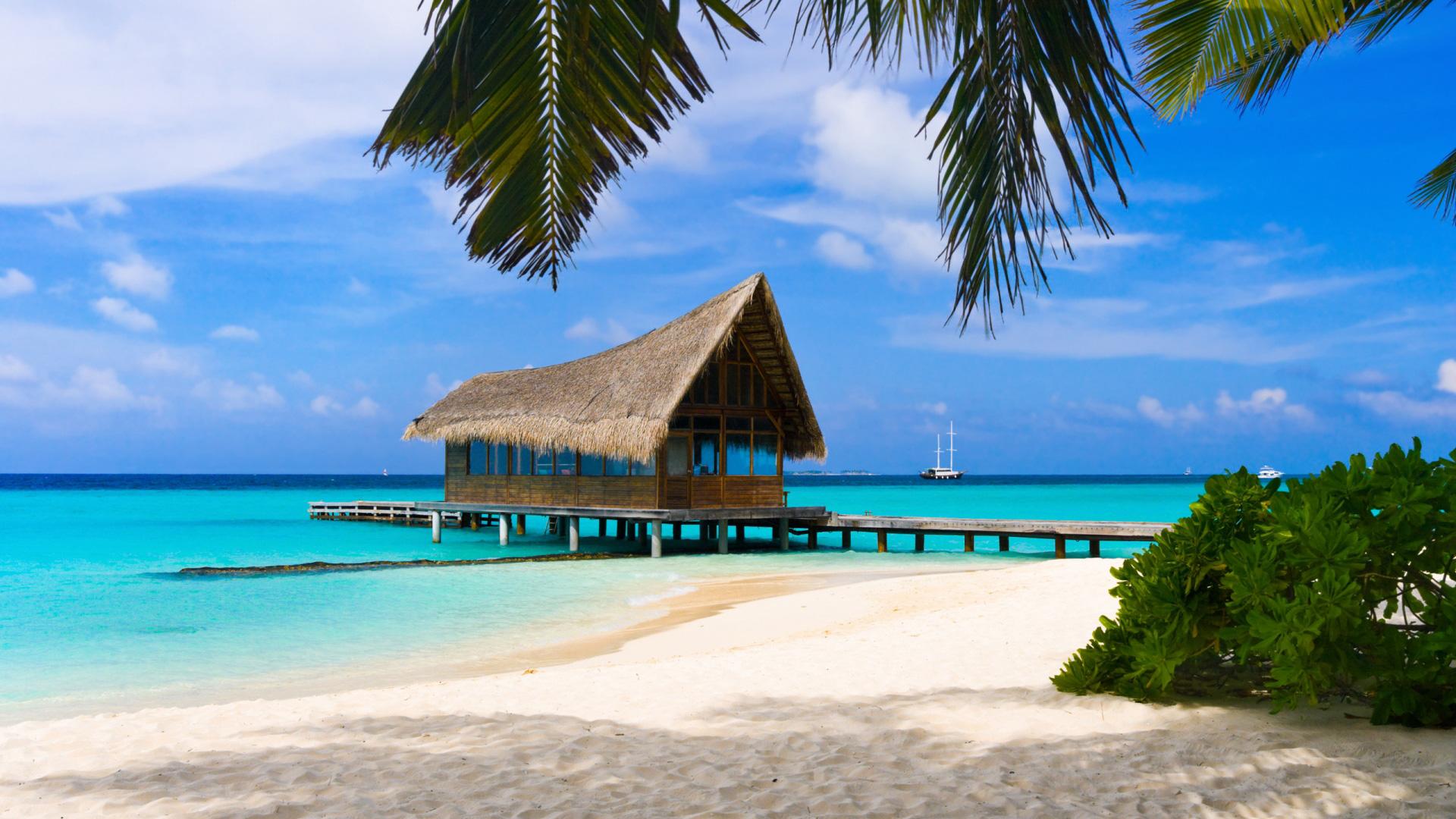 1920x1080 1080P Summer Wallpaper Free Image