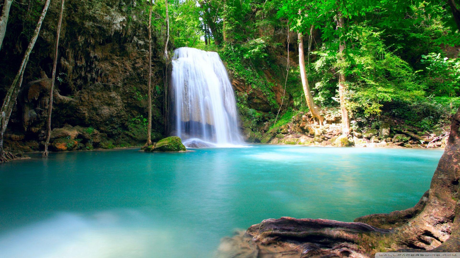 1920x1080 Download Forest Falls Summer Wallpaper 1920x1080