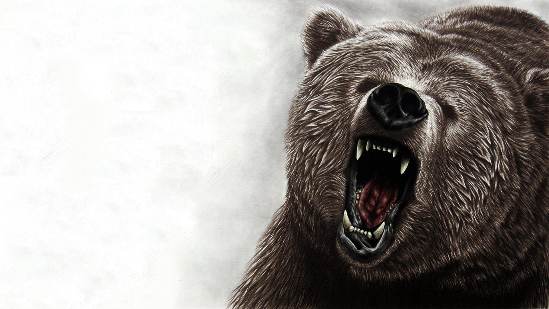1920x1080 Desk aljanh.net, Bears, pixel > 1920x1080