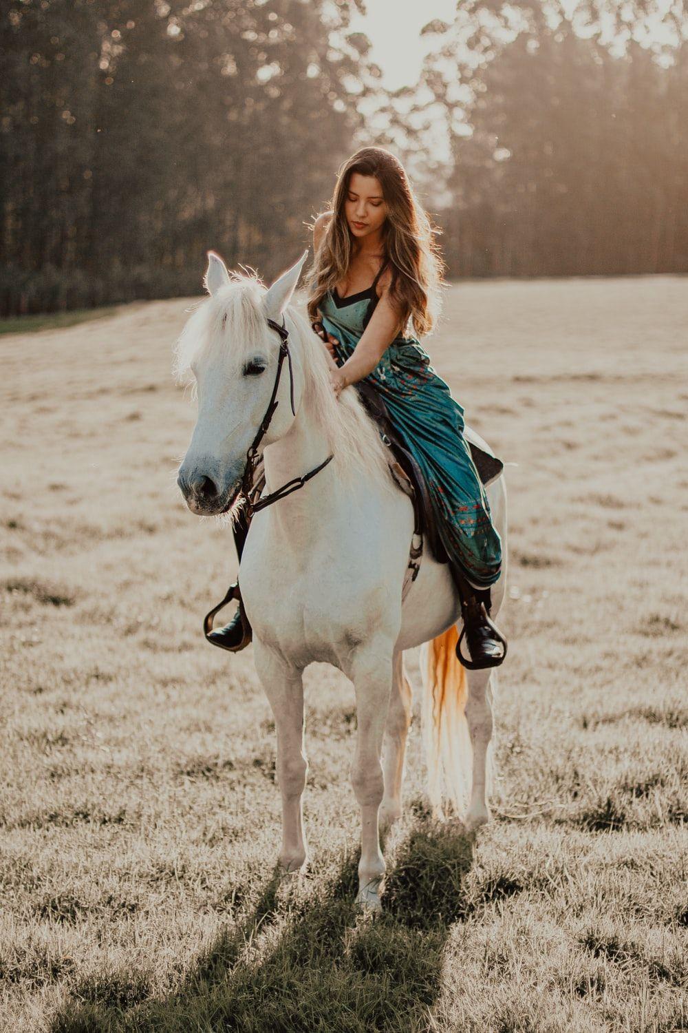 1000x1500 Horse Picture [HQ]. Download Free Image