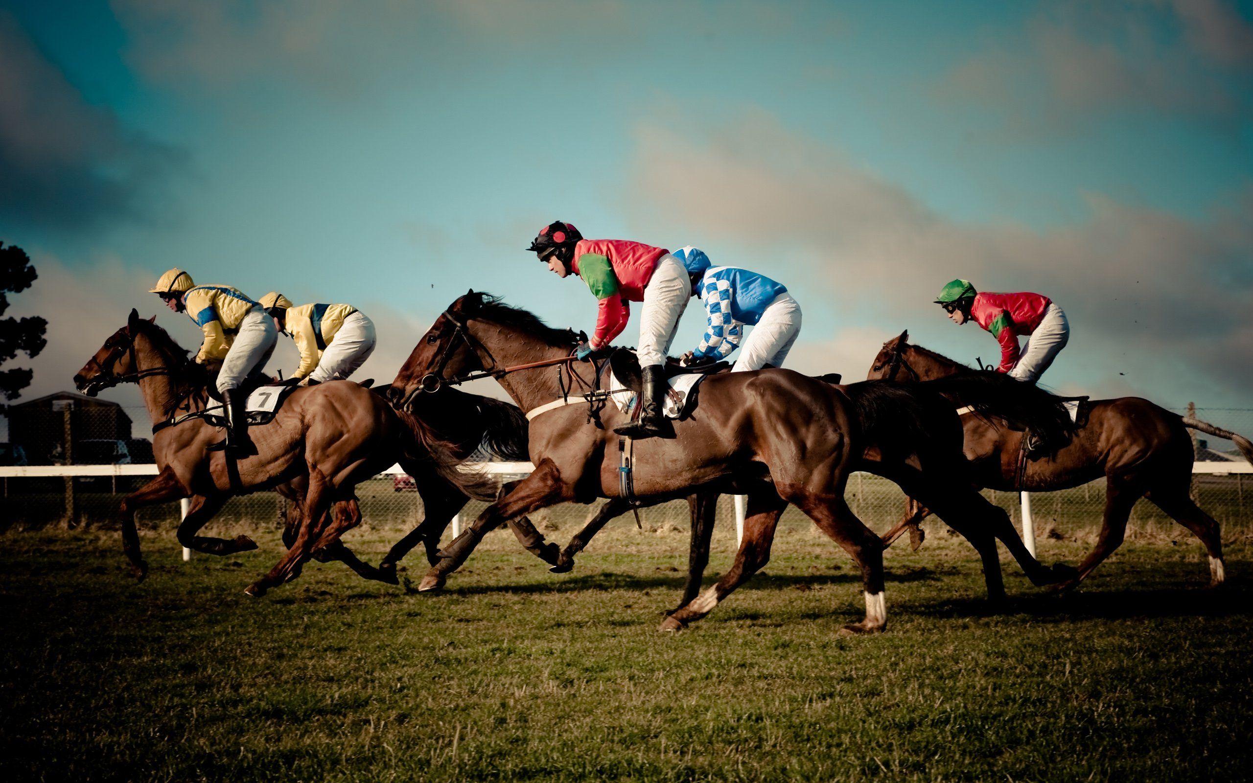 2560x1600 HORSE RACING race equestrian sport jockey horses wallpaper