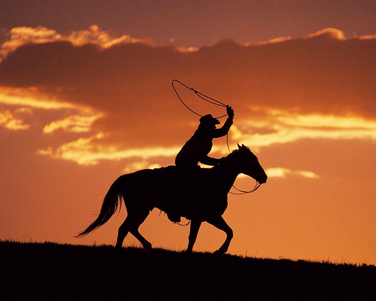 1280x1024 Download wallpaper 1280x1024 silhouette, evening, equestrian