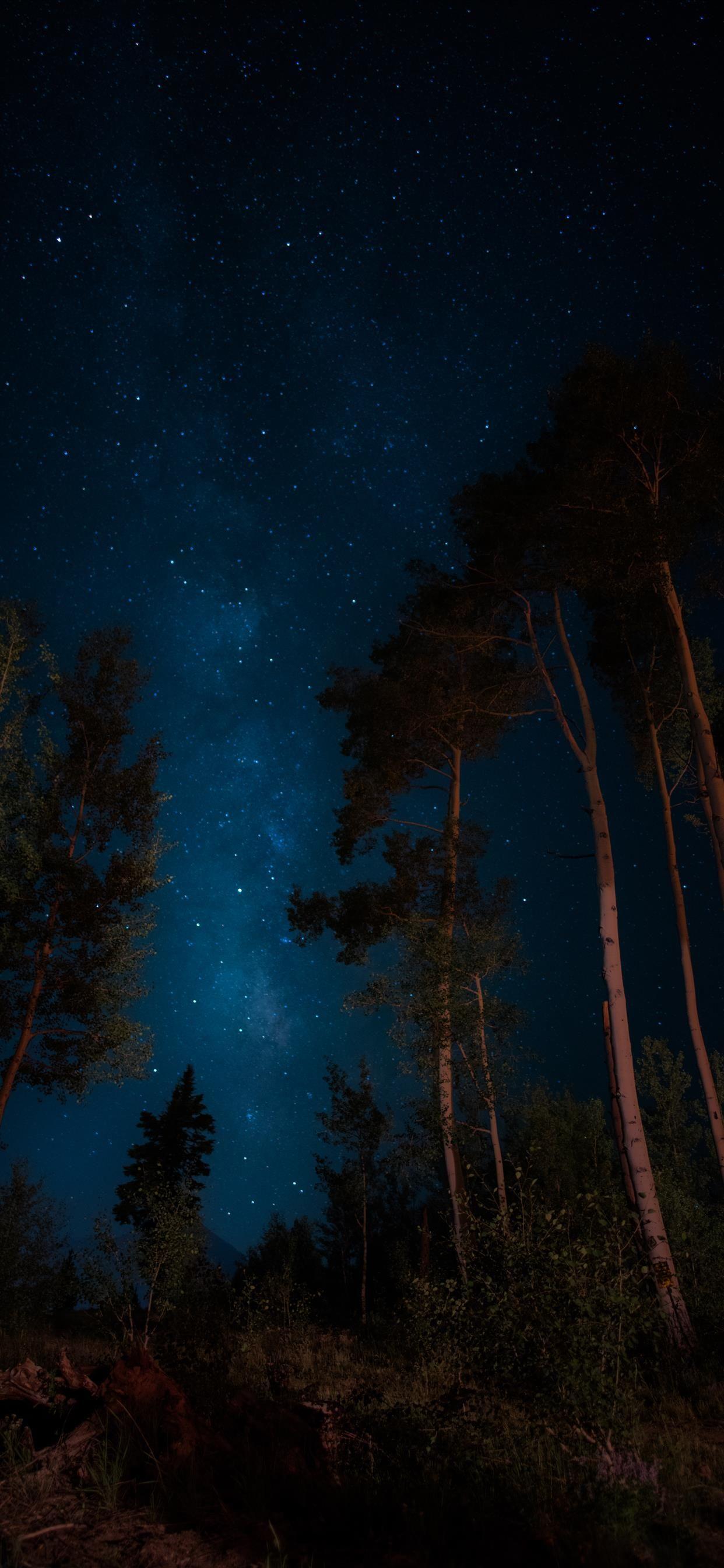 1242x2688 darkness iPhone 11 Wallpaper Free Download