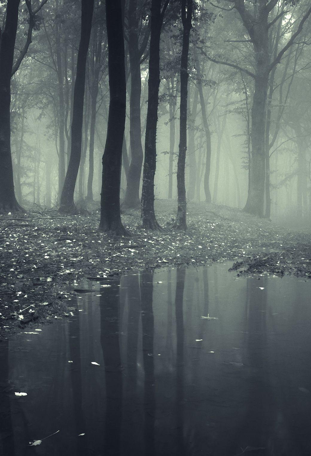 1040x1526 Darkness Wallpaper for iPhone Pro Max, X, 6
