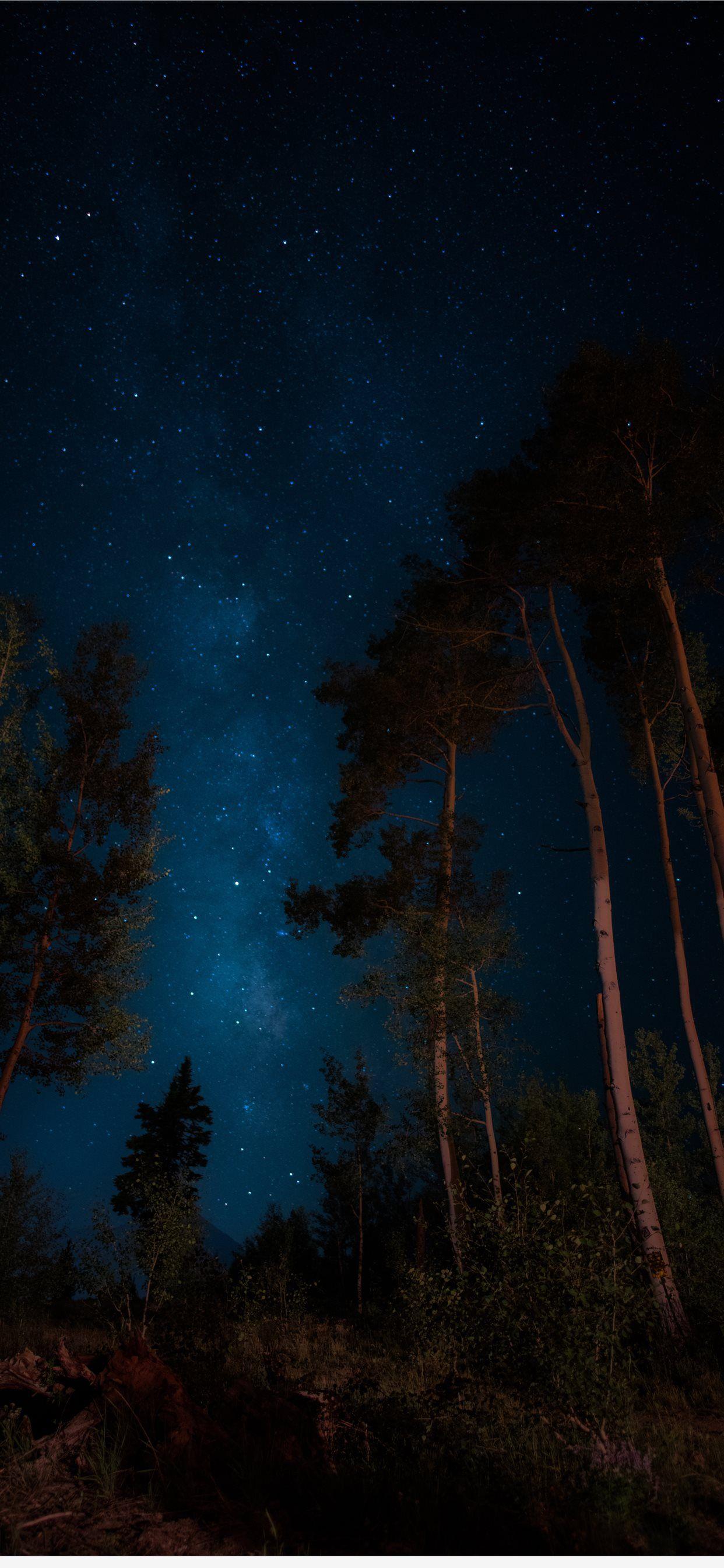 1242x2688 darkness iPhone Wallpaper Free Download