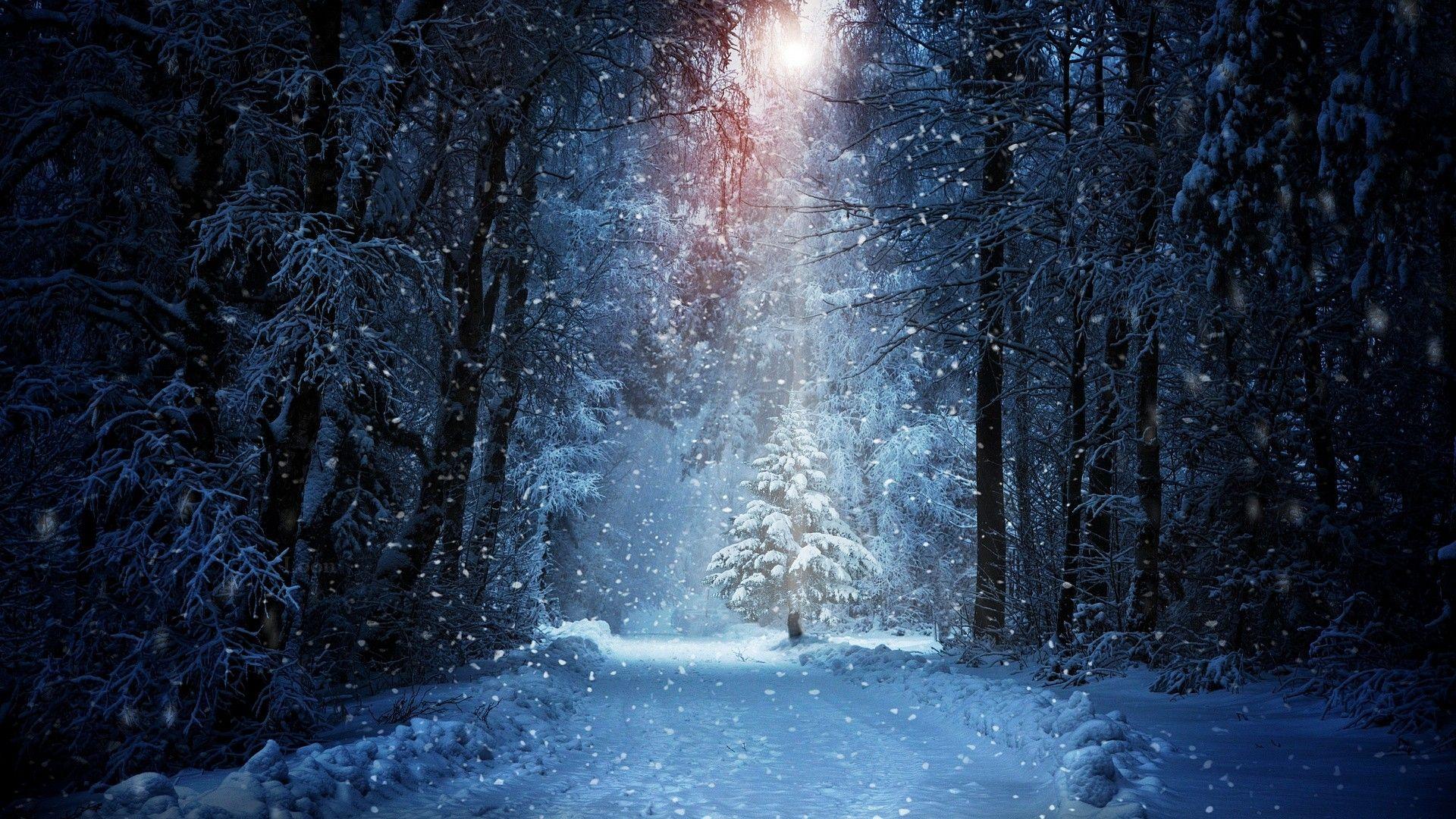 1920x1080 Free download Snowfall Wallpaper HD [1920x1080] for your Desktop