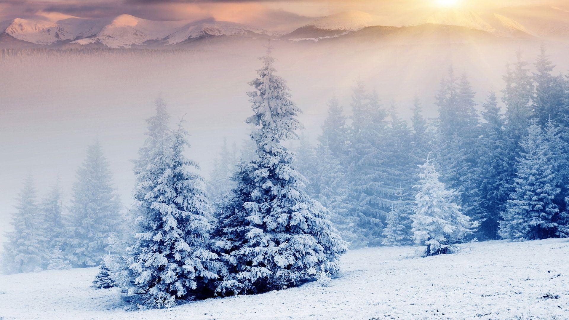 1920x1080 Snow Wallpaper 1920x1080