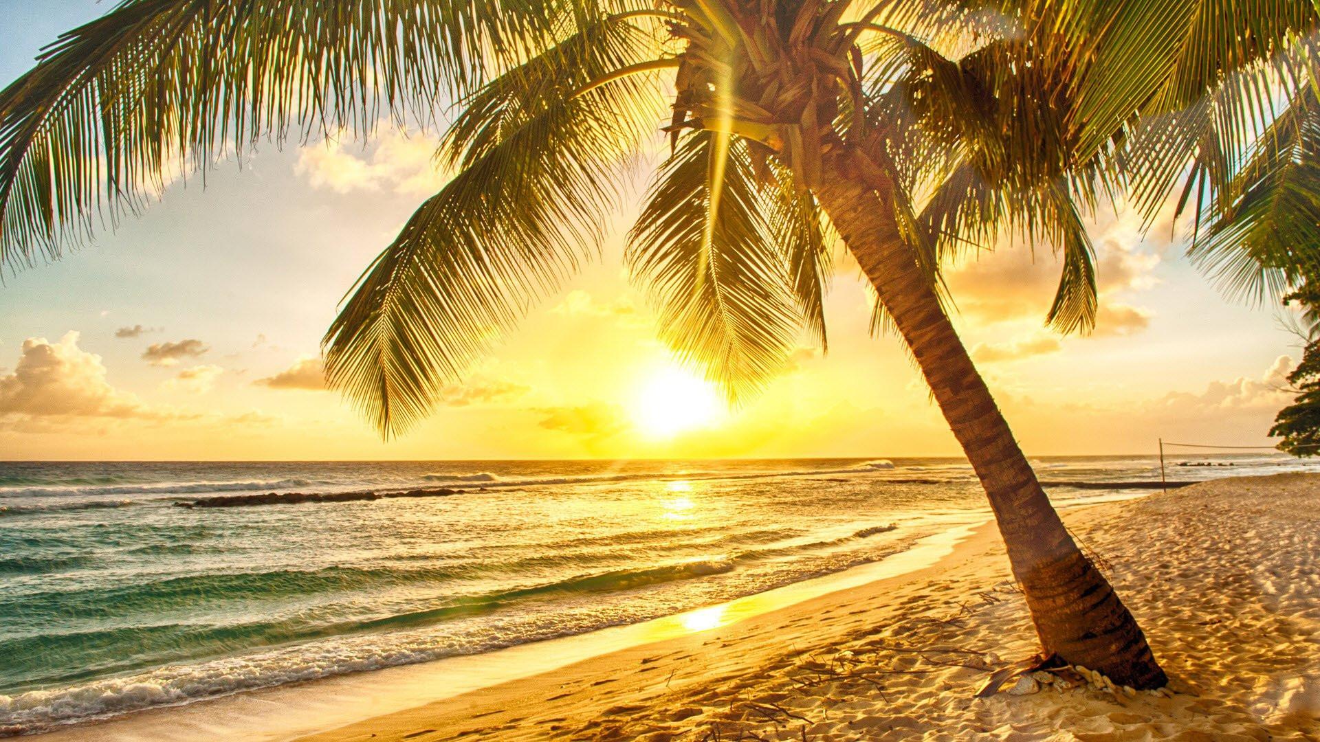 1920x1080 Beach Sunrise Desktop Wallpaper (1920x1080 px)