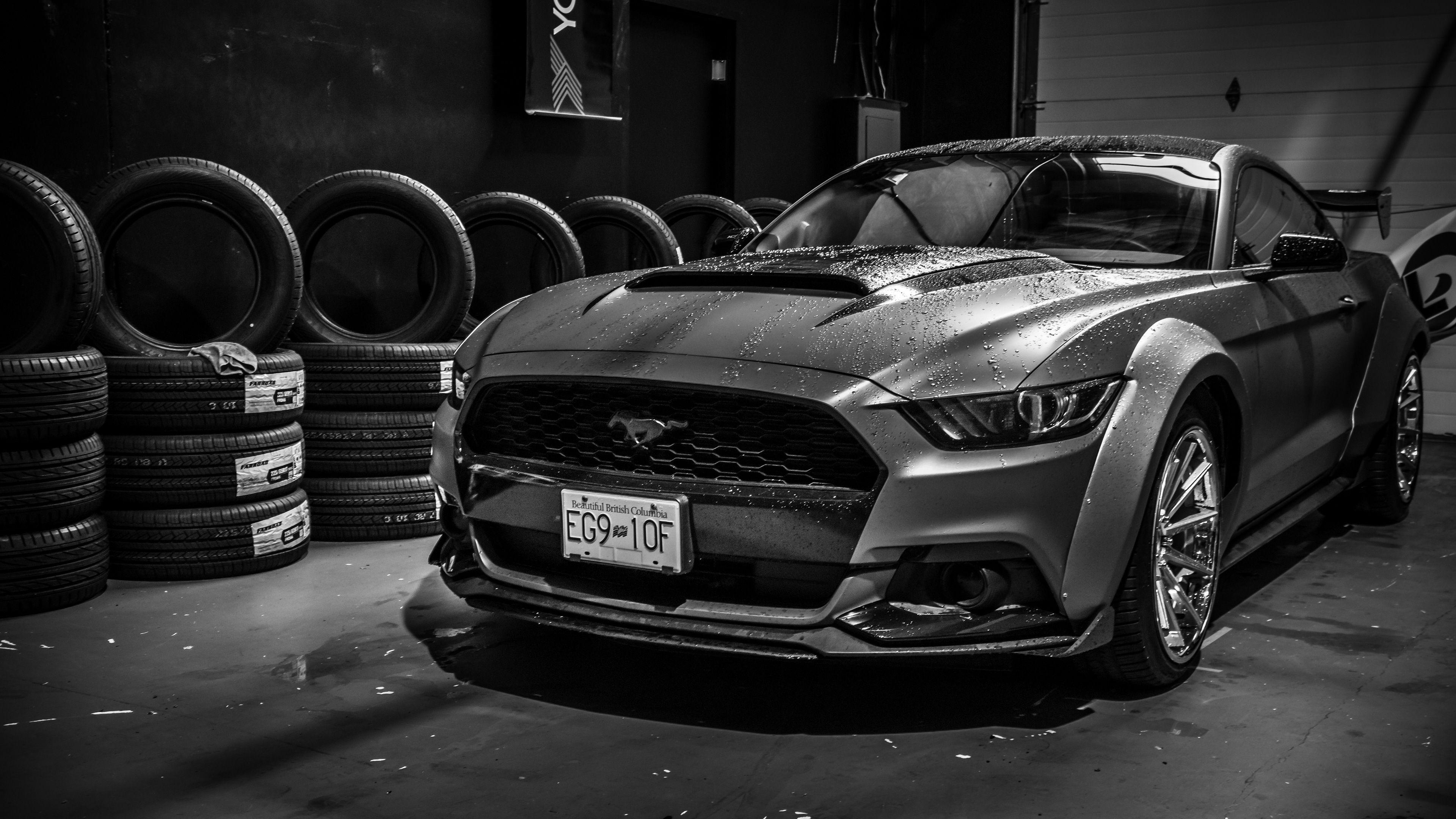 3840x2160 Ford Mustang Monochrome 4k, HD Cars, 4k Wallpaper, Image, Background, Photo and Picture