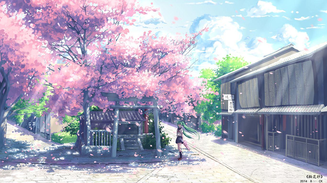 1366x768 Picture Vocaloid Hatsune Miku Cherry Blossom Yuuko San 1366x768
