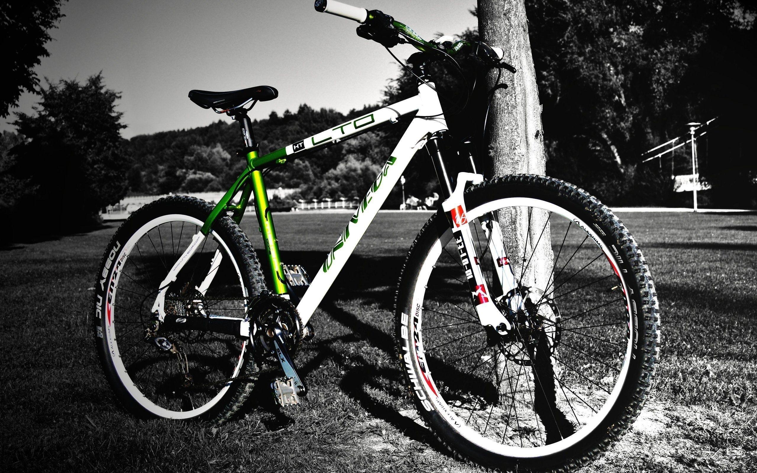 2560x1600 Mtb bike wallpaper download