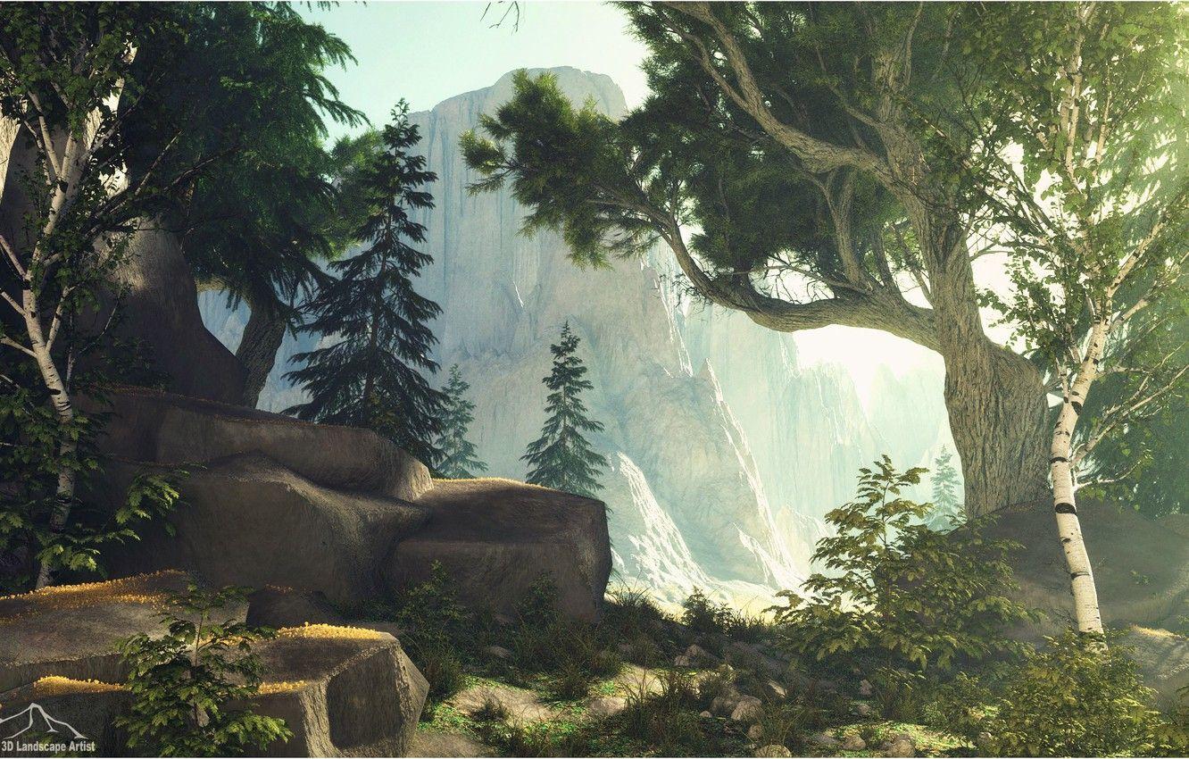1332x850 Wallpaper forest, mountains, rock, vegetation, Forest Edge image