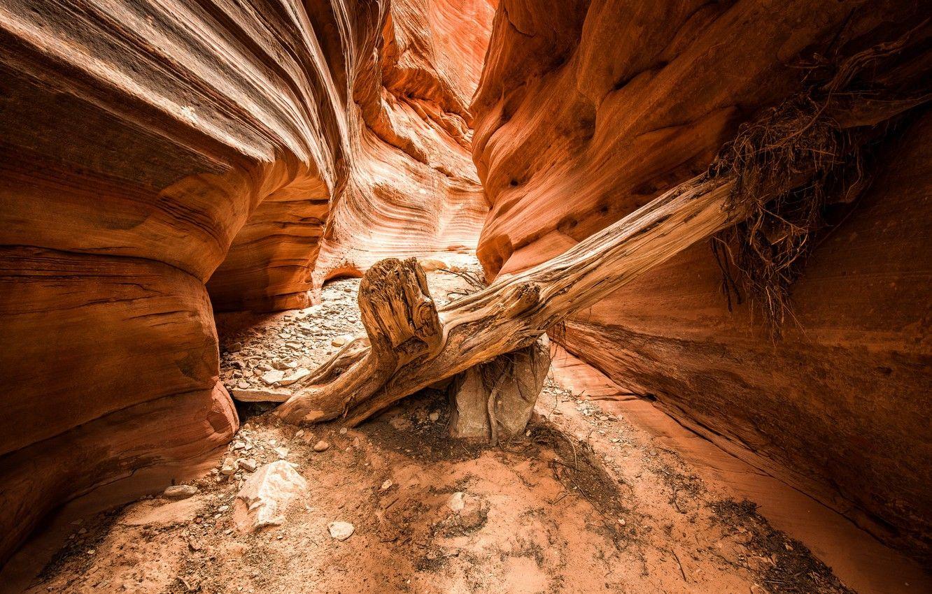 1332x850 Red Canyon Wallpaper