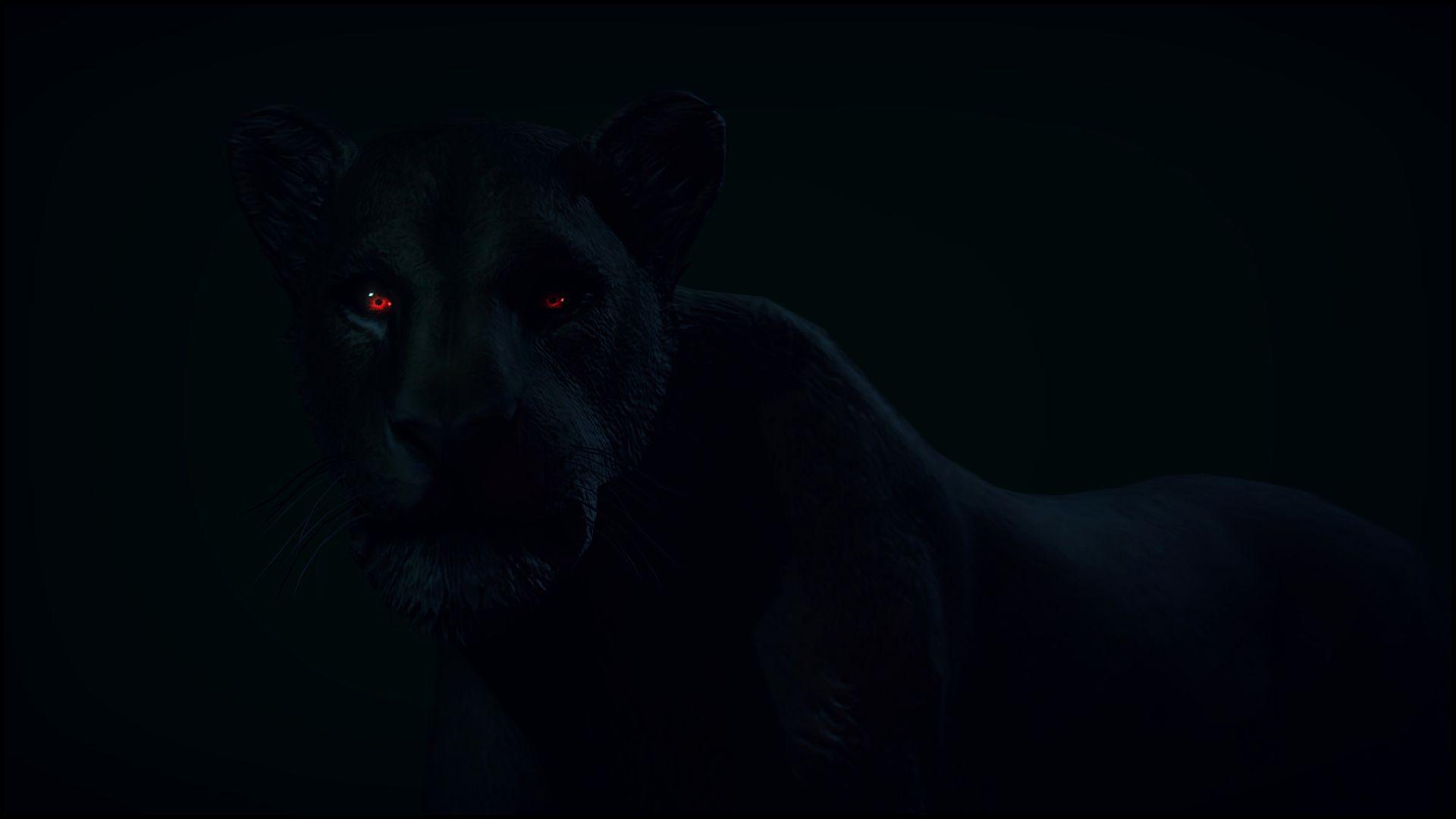 1920x1080 Black Leopard Wallpaper