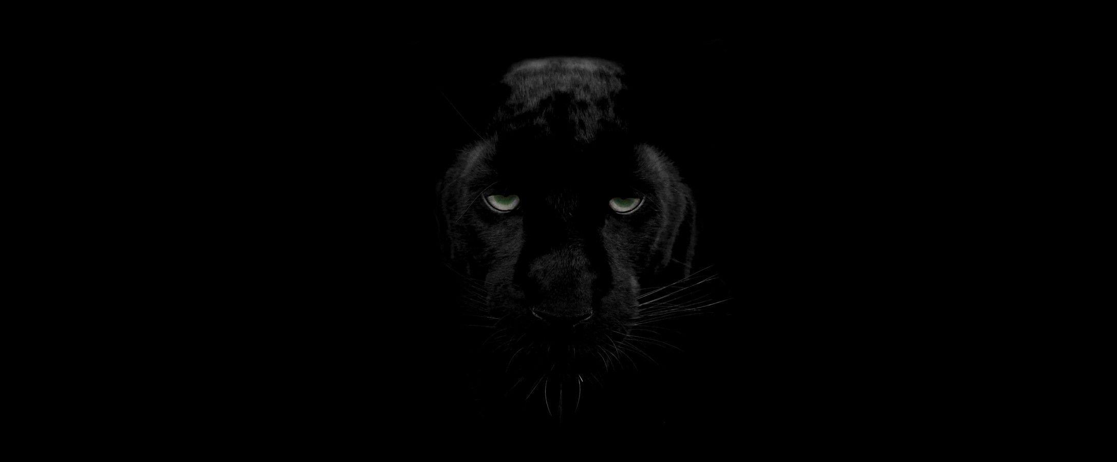 Black Panther Face Wallpapers - Top Free Black Panther Face Backgrounds ...