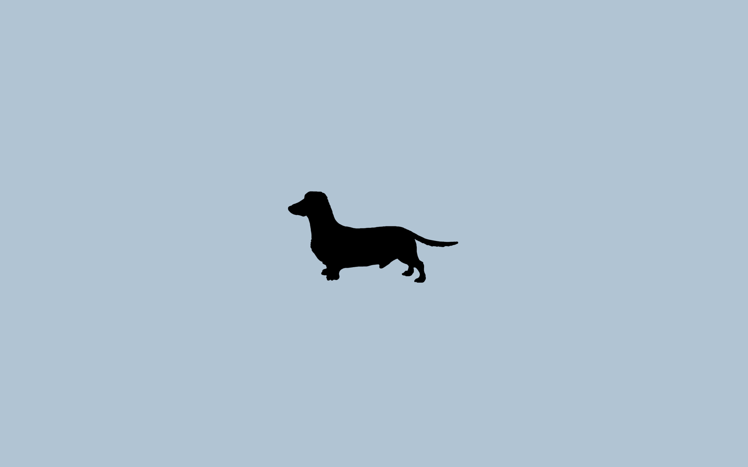 2560x1600 Free Dachshund Wallpaper for Computer