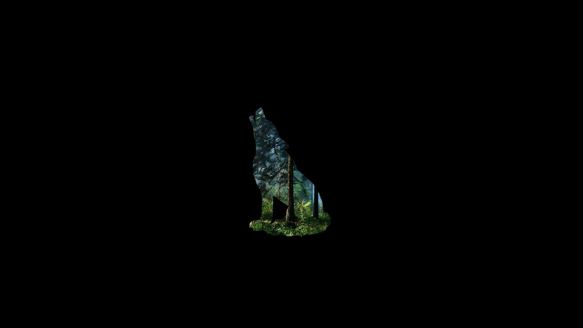 1920x1080 nature, Animals, Trees, Forest, Wolf, Black background, Plants