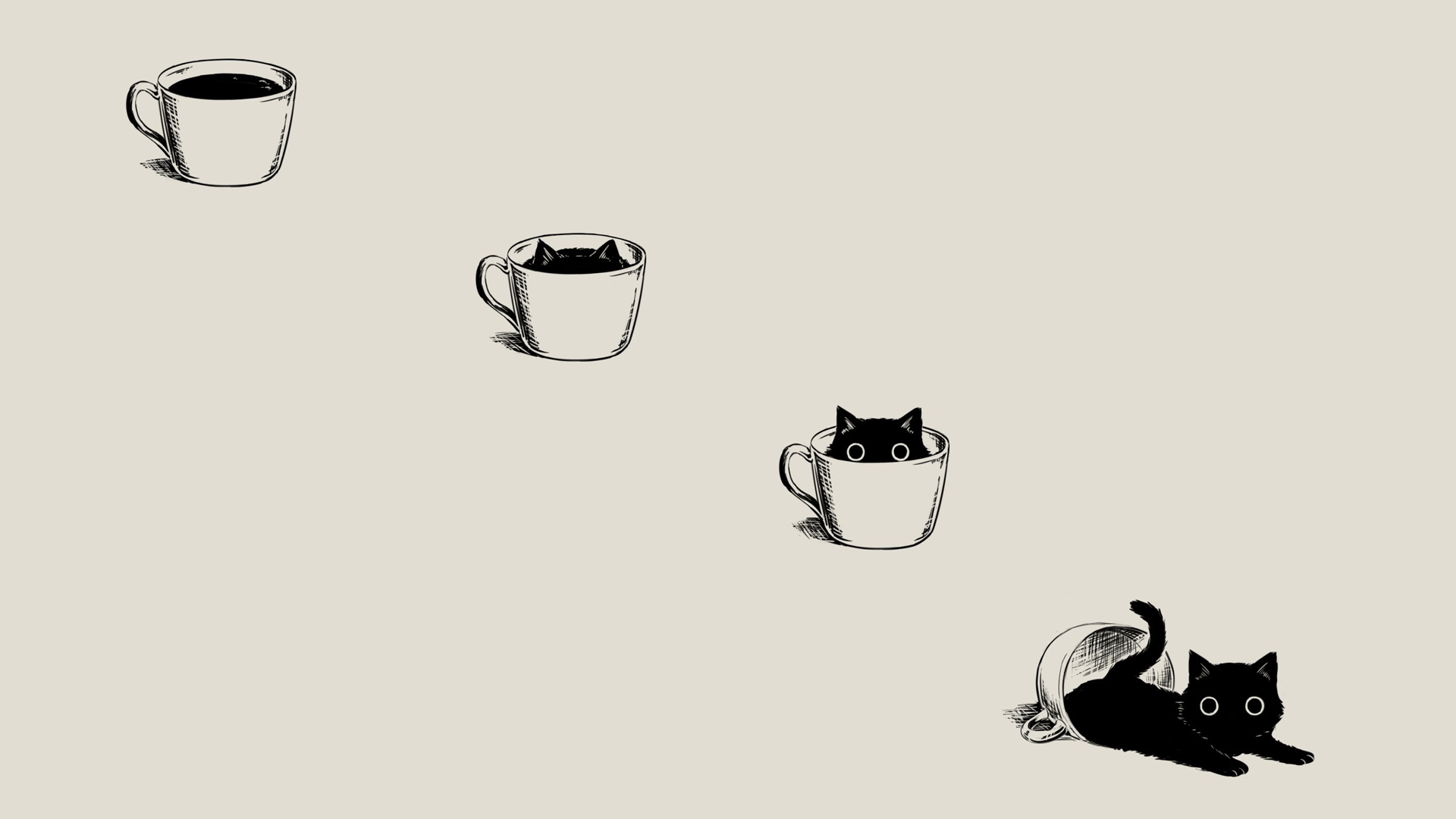1920x1080 Cat HD Wallpaper