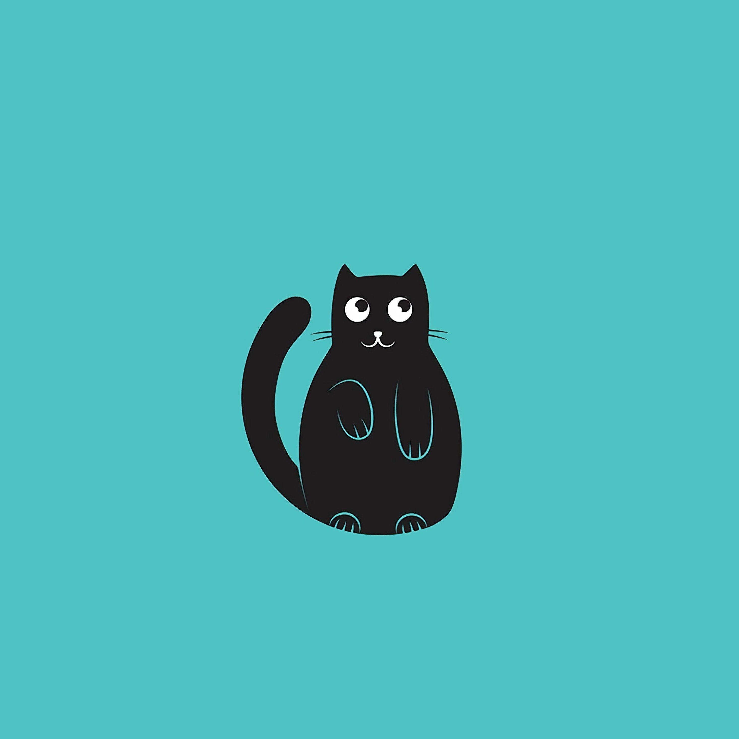 Minimalistic Cat Wallpapers - Top Free Minimalistic Cat Backgrounds ...