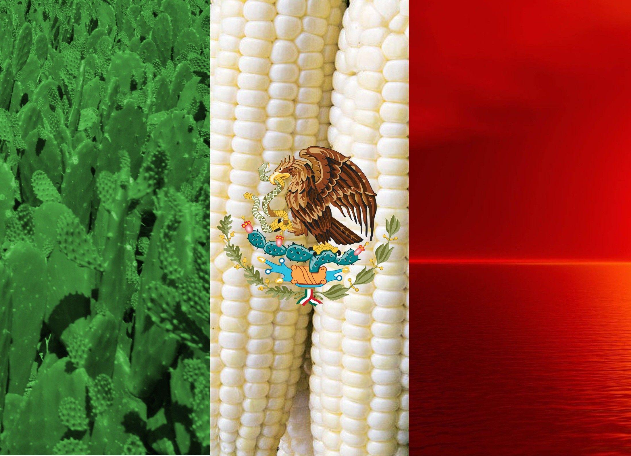 2196x1588 Italian Flag iPhone Wallpaper
