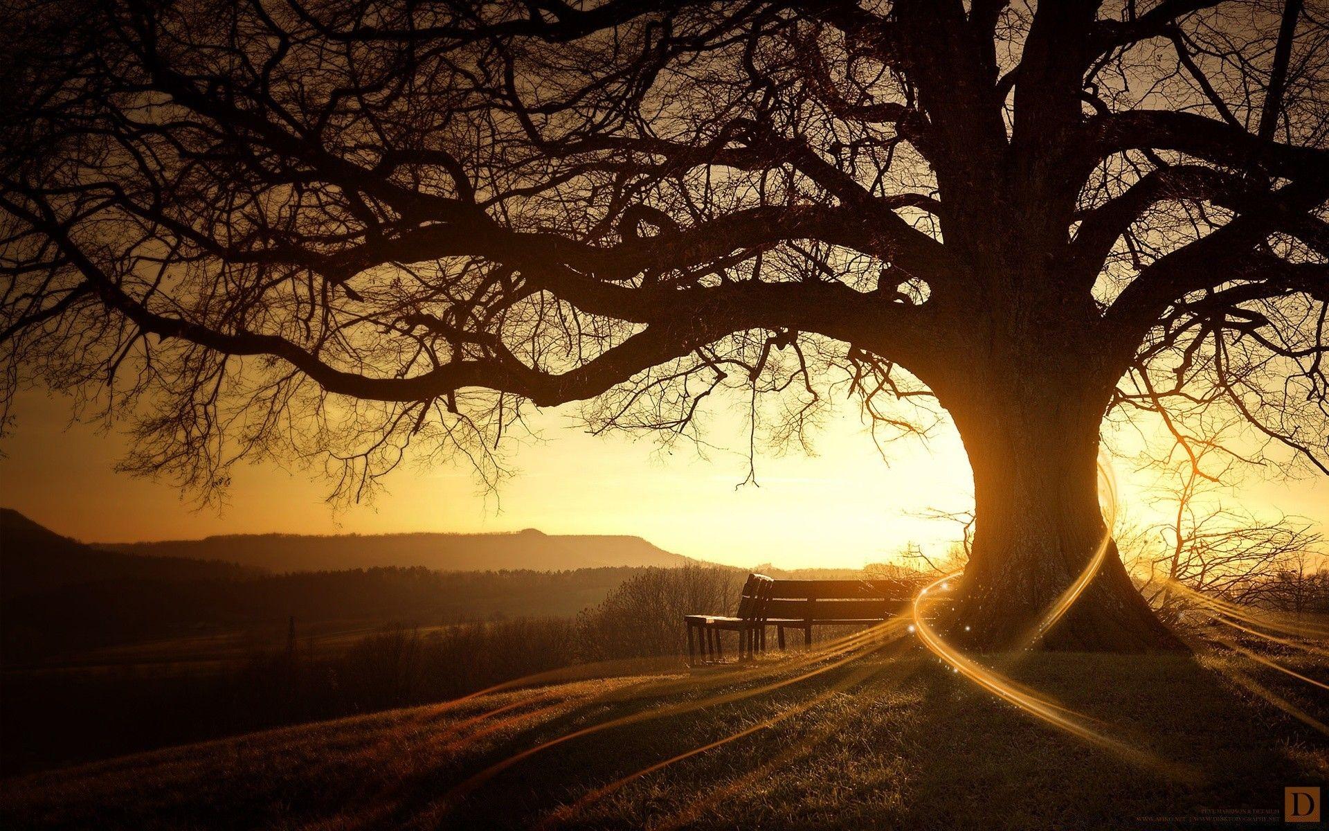 1920x1200 Magic Autumn