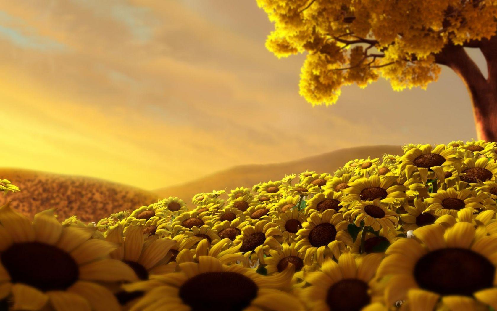 Yellow Nature Wallpapers Top Free Yellow Nature Backgrounds