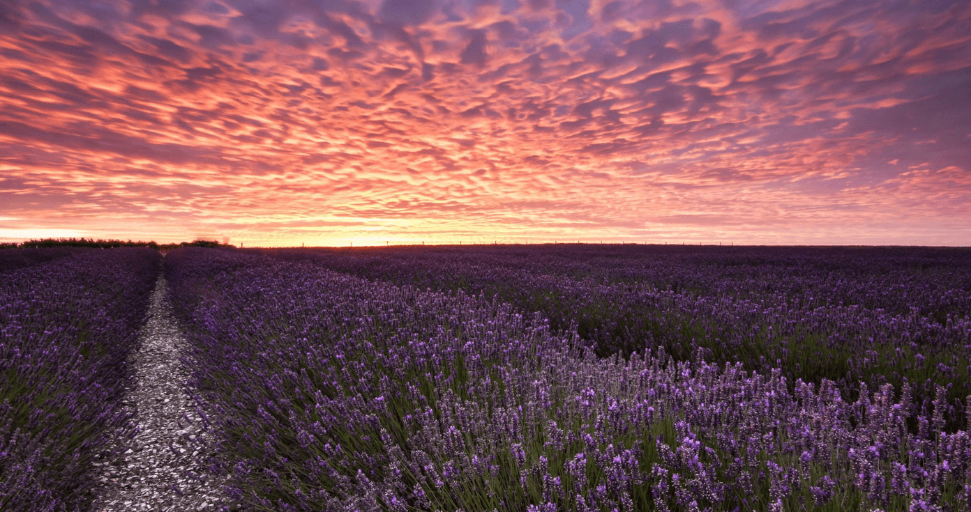 1392x735 Best Nature Wallpaper in 4K and Full HD for Desktop and Mobile