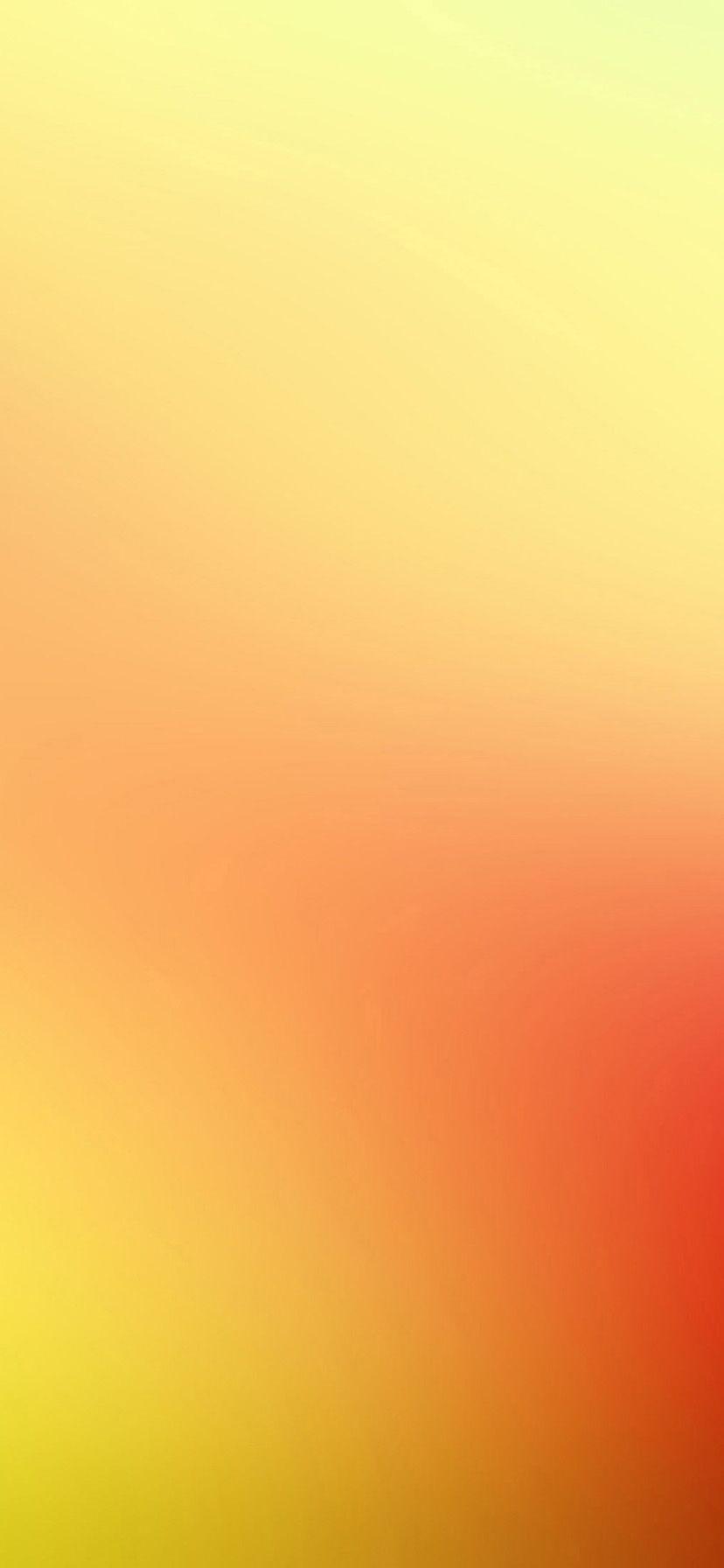 828x1792 Flower Glowing Yellow iPhone Xr Wallpaper Wallpaper